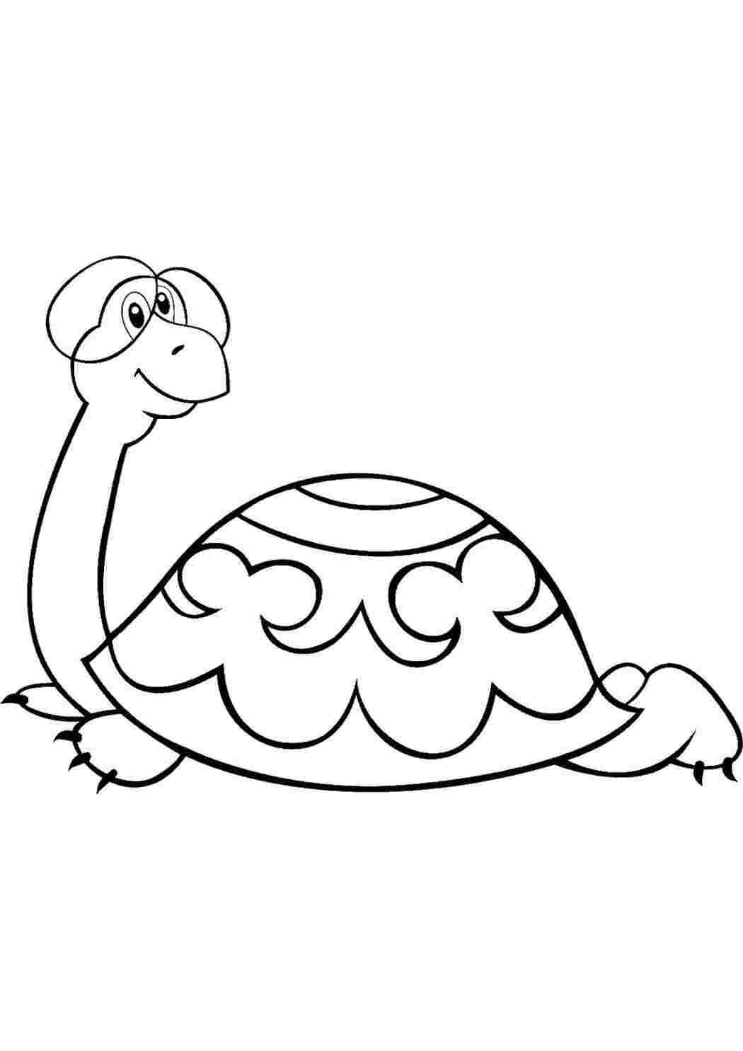 Раскраски черепахи - Для печати - Бесплатно - Kids Drawing Hub
