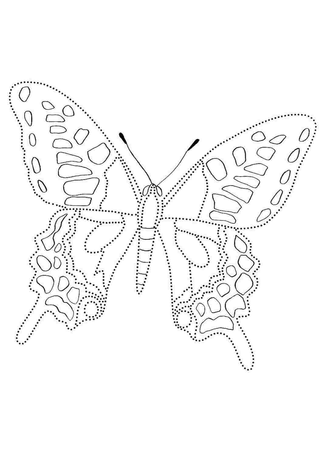Раскраски раскраски животные насекомые раскраска бабочка. Раскраски в формате А4. раскраски животные насекомые раскраска бабочка. Бесплатно найти раскраску.