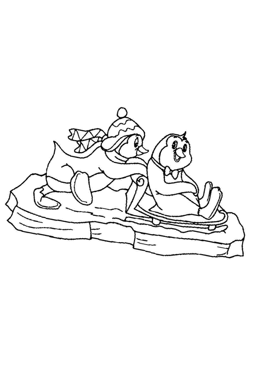 Раскраски Пингвины на санках. Картинки раскраски. Пингвины на санках. Разукраски.