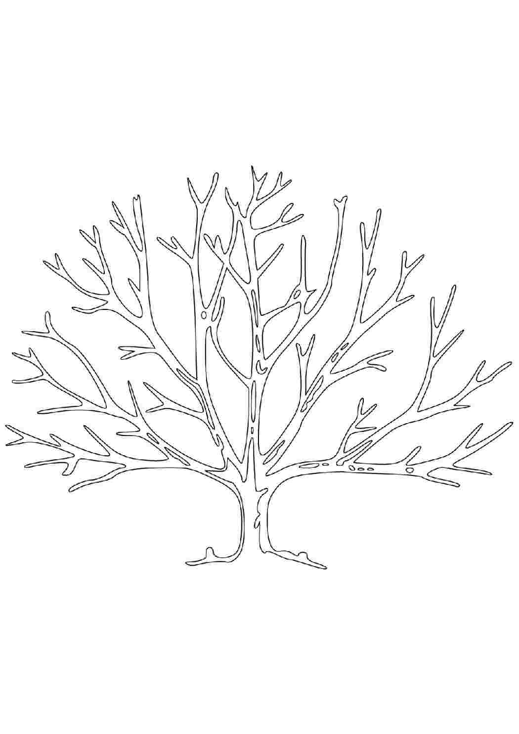 Как нарисовать дерево без листьев карандашом поэтапно