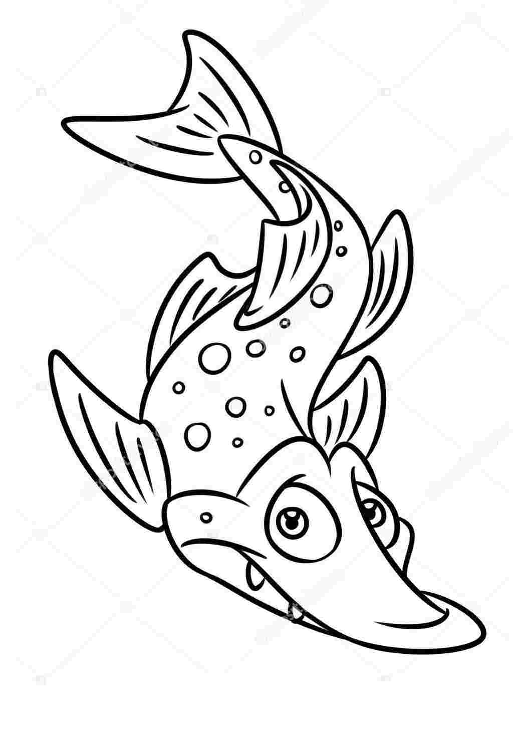 Раскраски щука рыба для детей — Раскраски
