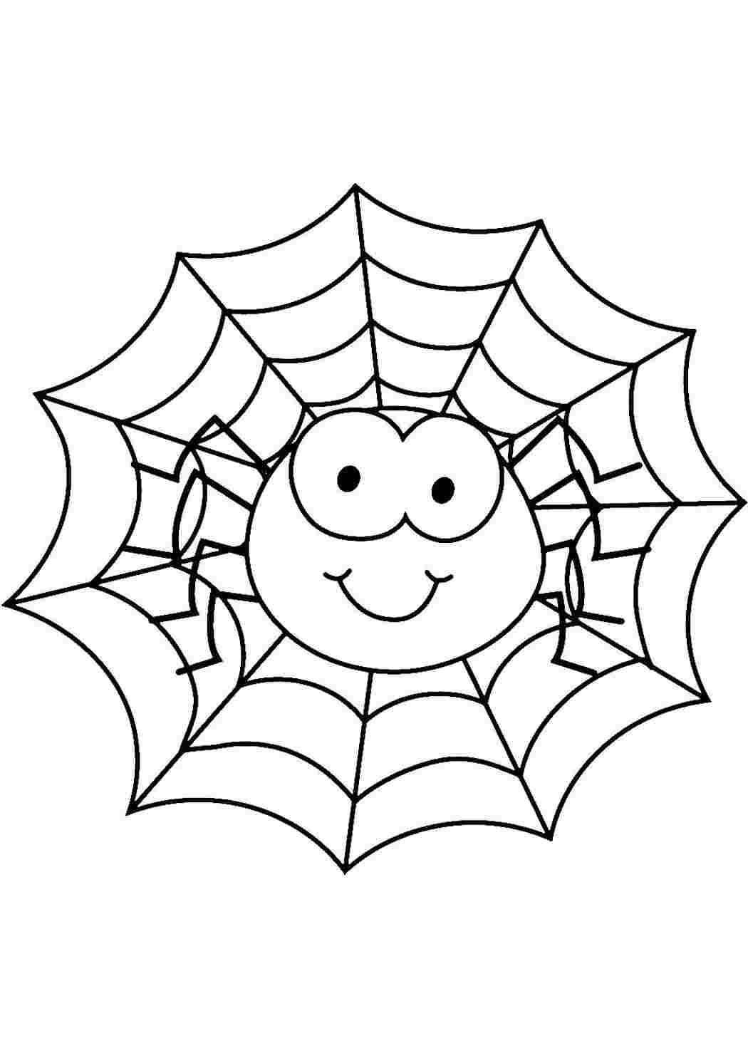 Зачем паук плетет паутину?