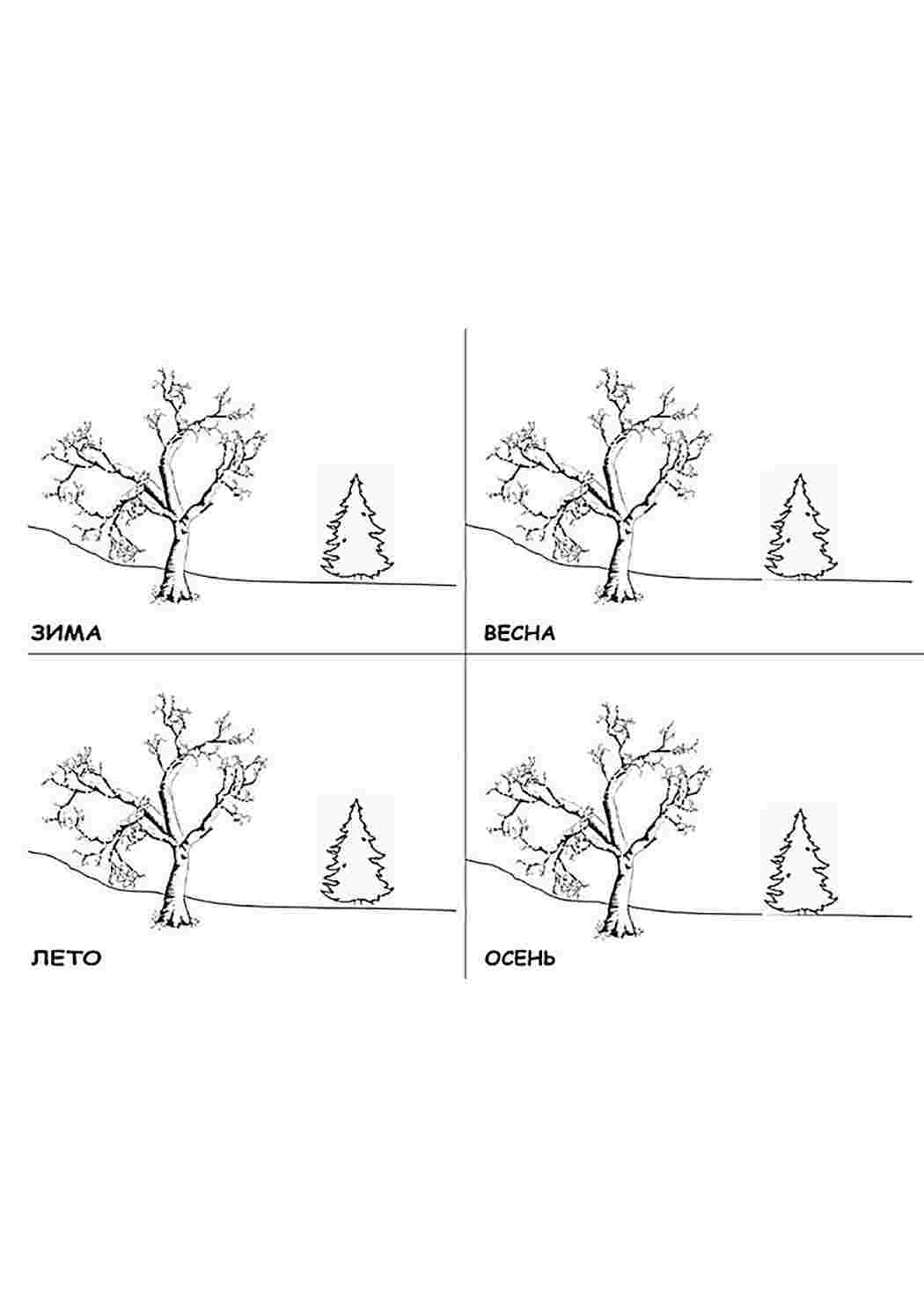 раскраска времена года. Развивающие раскраски.