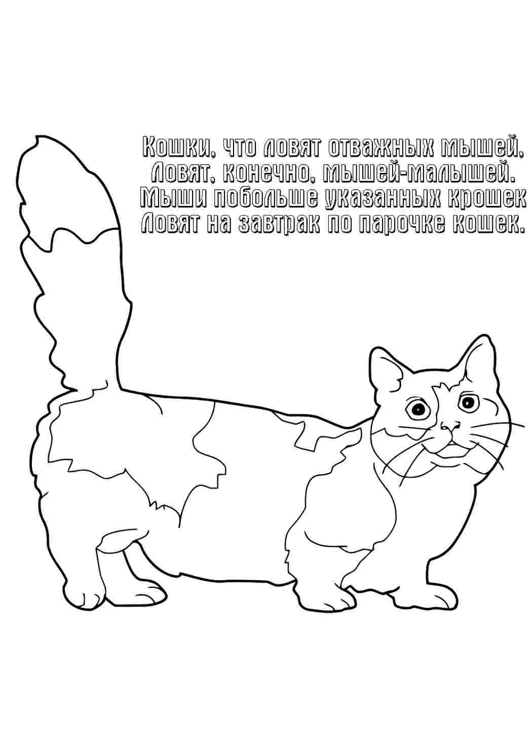 котик. Развивающие раскраски.