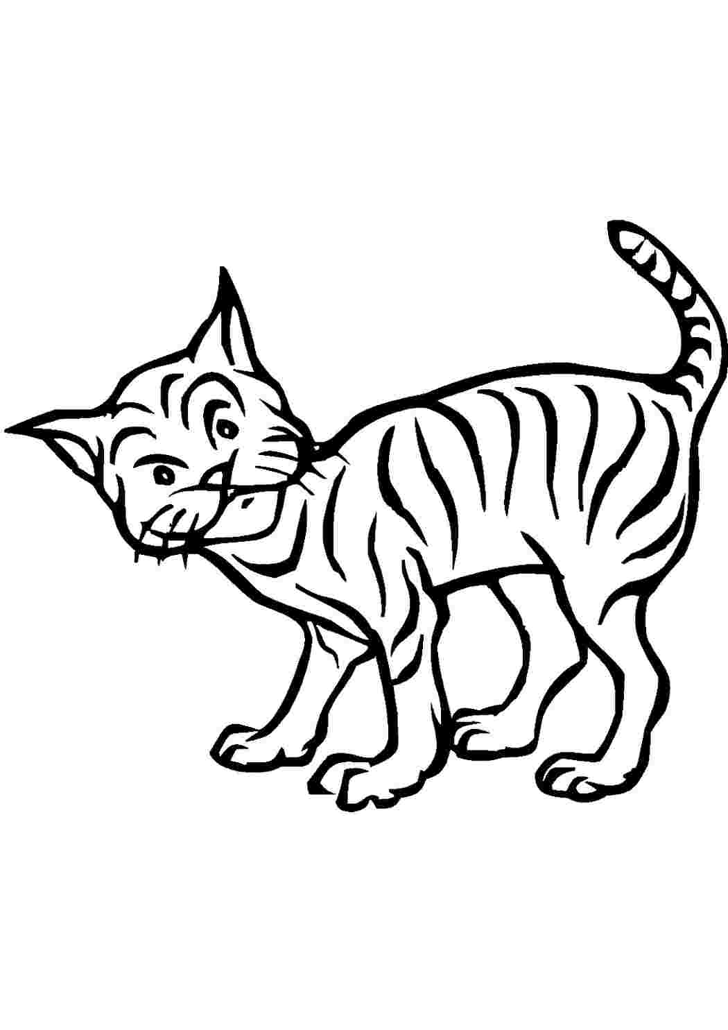 Раскраска Раскраска lynx распечатать. Разукраска.