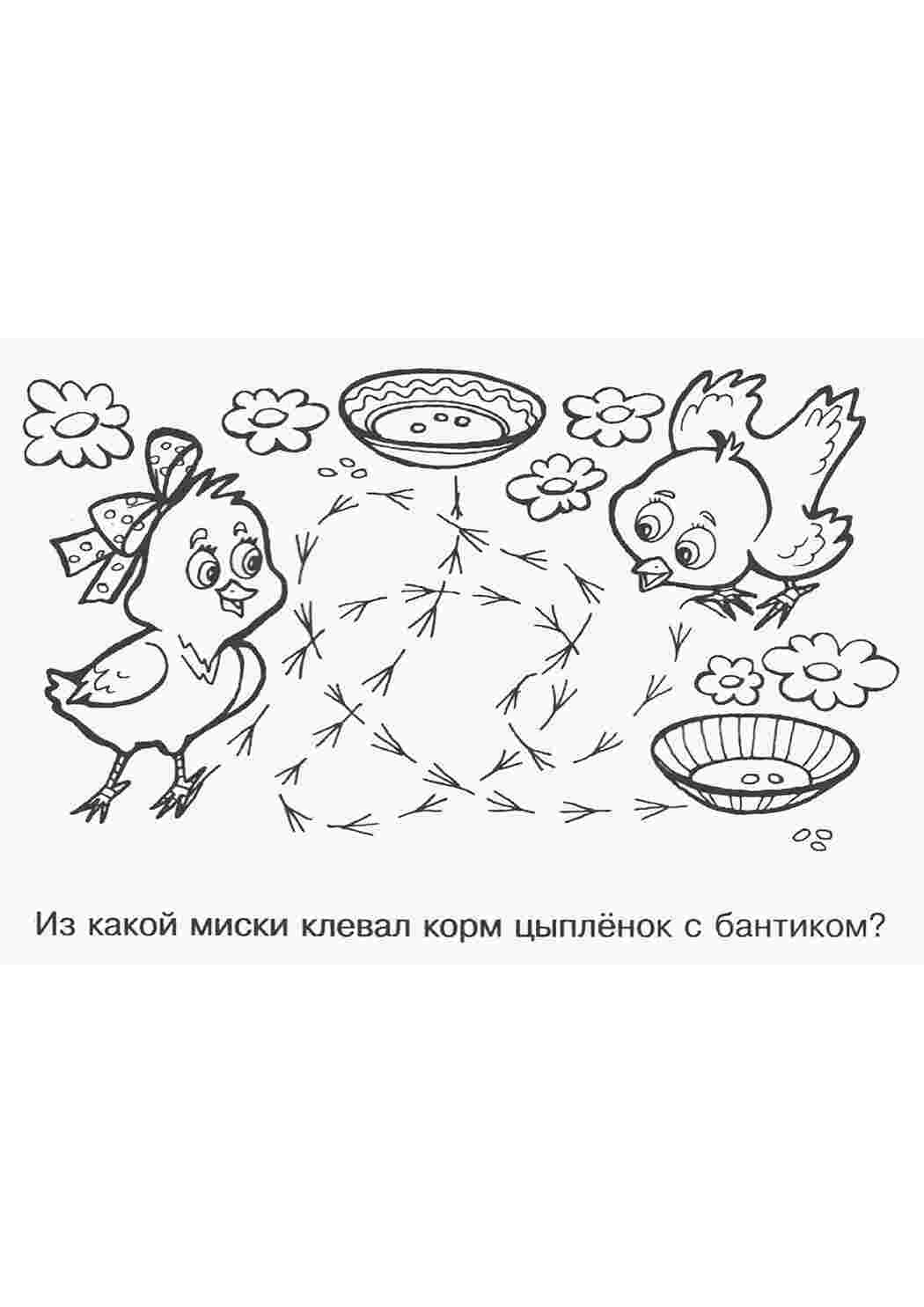 Раскраска животные . раскраски животные. Интересные раскраски.