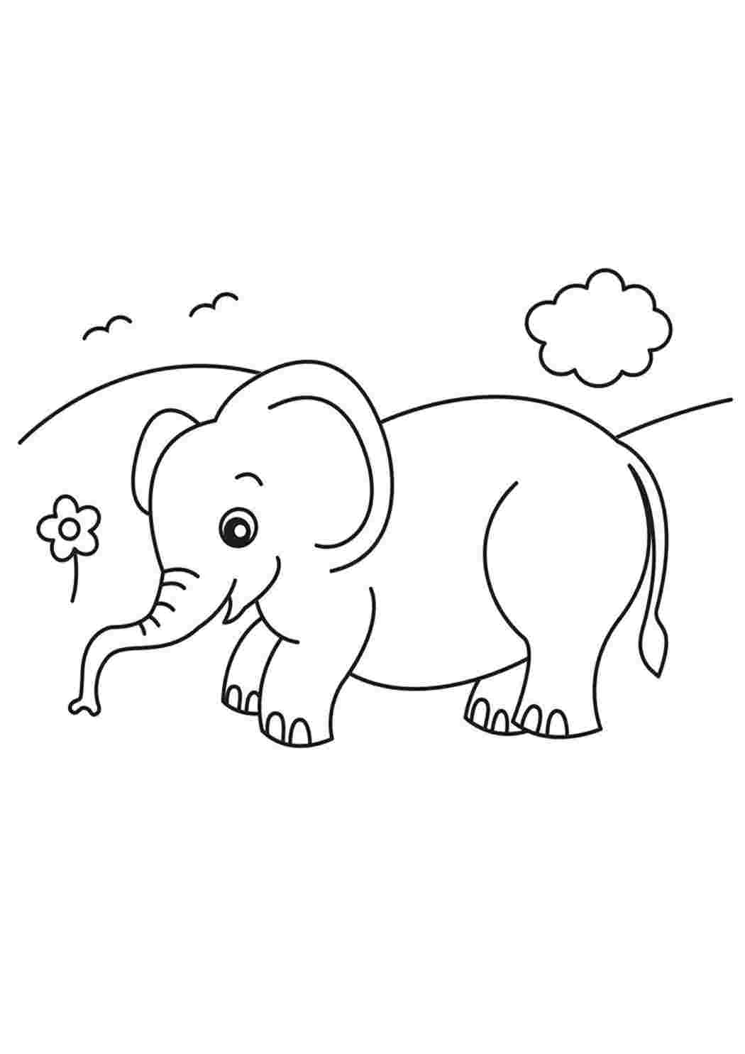 Раскраска Слон и другие животные