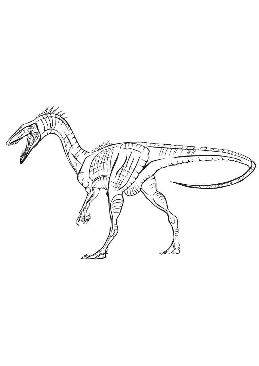 Изображения по запросу Книжка раскраска спинозавр