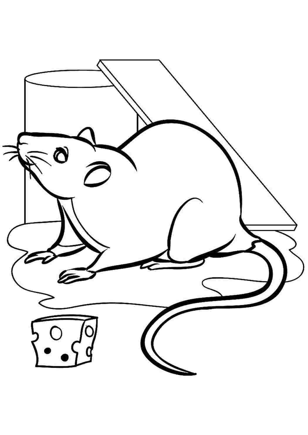 Раскраска мышь распечатать. Раскраска мышка. Крыса раскраска. Крыса раскраска для детей. Мышка и сыр раскраска.