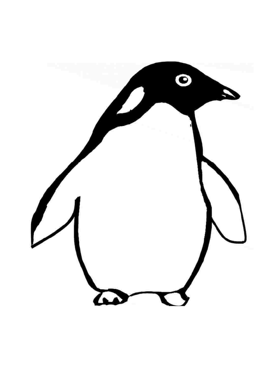 пингвин чб. пингвин чб. императорский пингвин раскраска для детей. пингвин черно белый. пингвин.