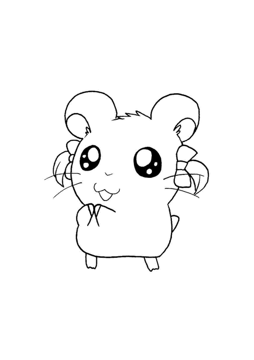 раскраски хамтаро. милый хомячок раскраска. раскраска хомячок. милые раскраски. раскраски хамтаро.