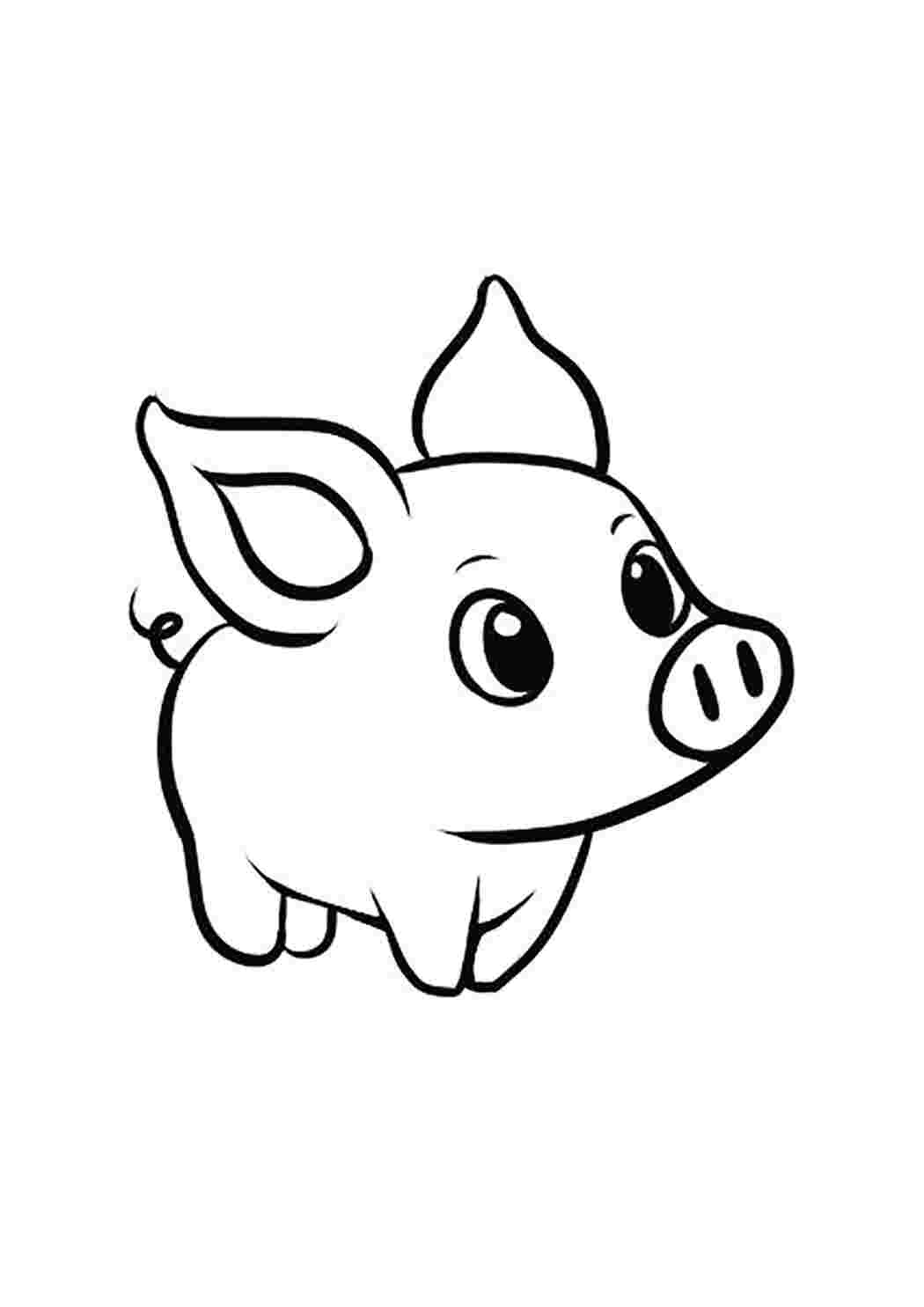 Рисунок свинка для детей поэтапно