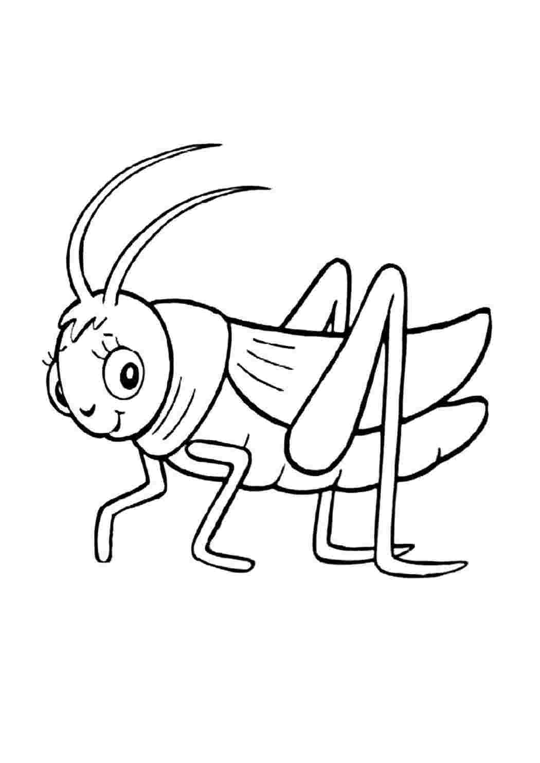 Контур насекомых для детей