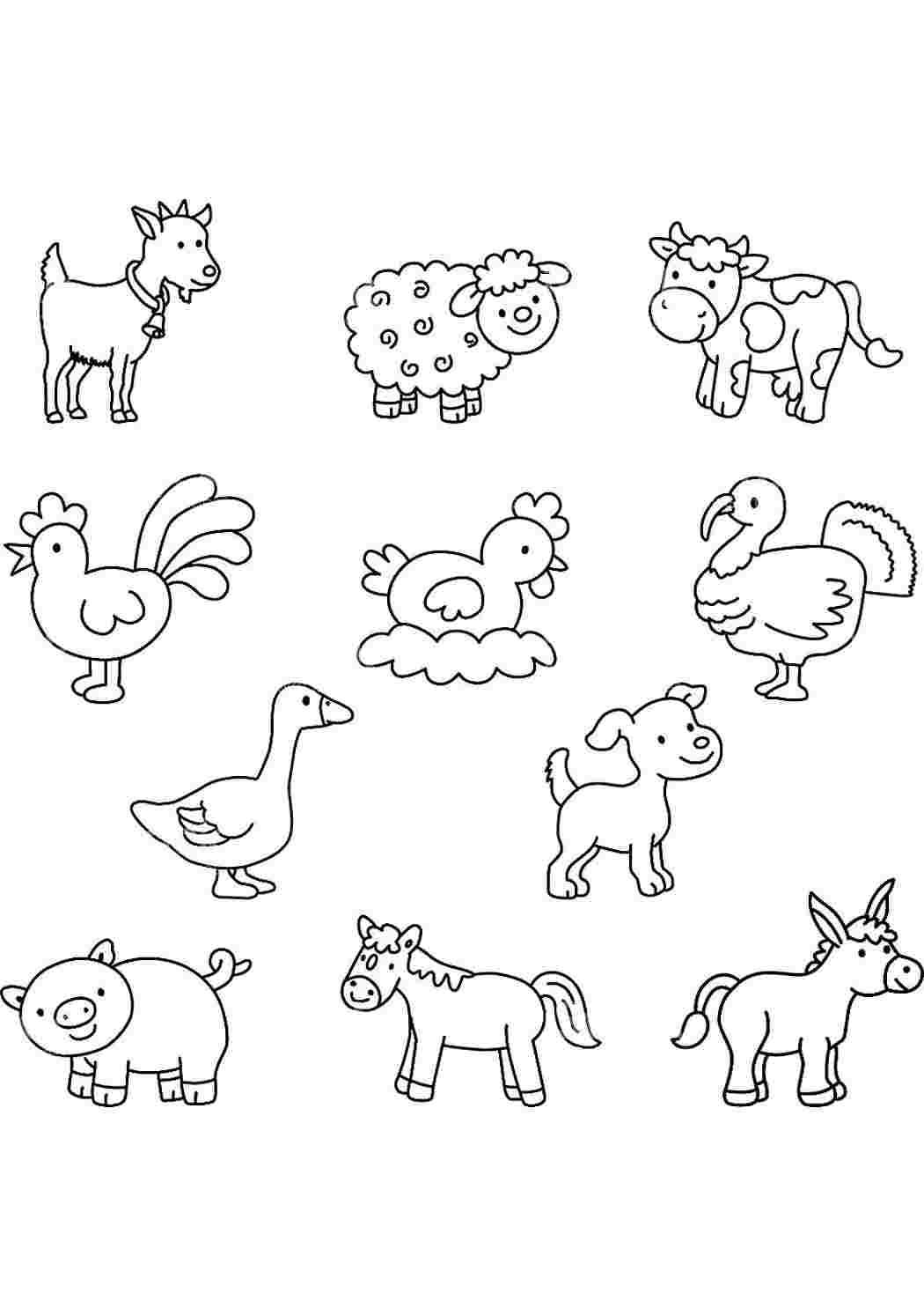 Раскраска для дошкольников животные. Рисунки животных для детей. Раскраски животных для детей. Контуры животных для детей. Раскраски для малышей домашние животные.