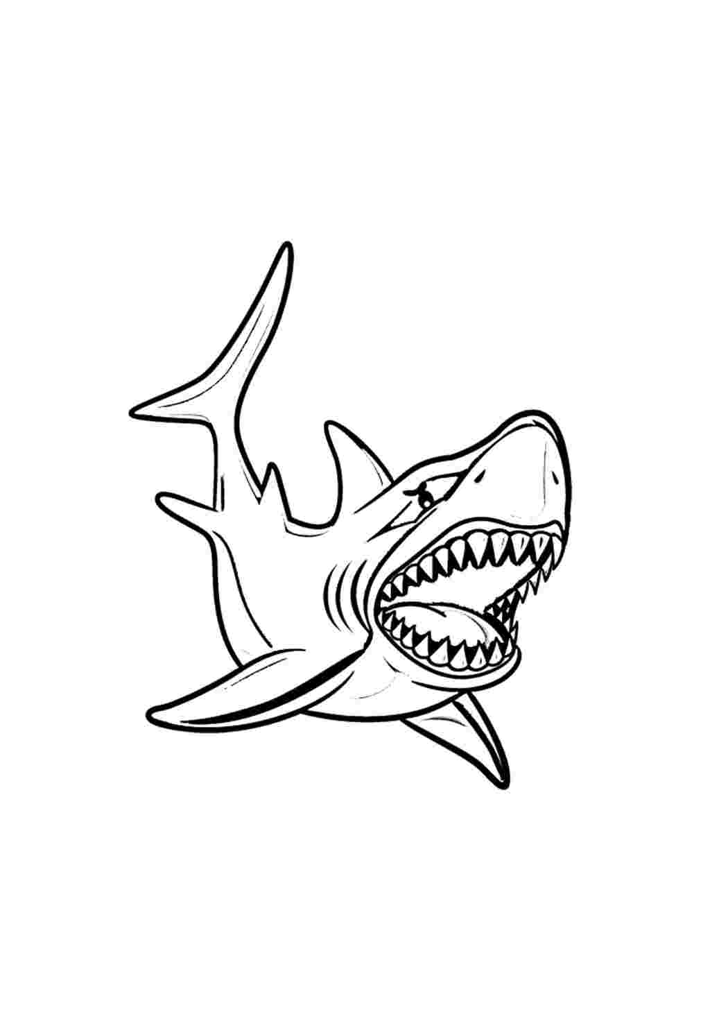 Злая акула раскраска