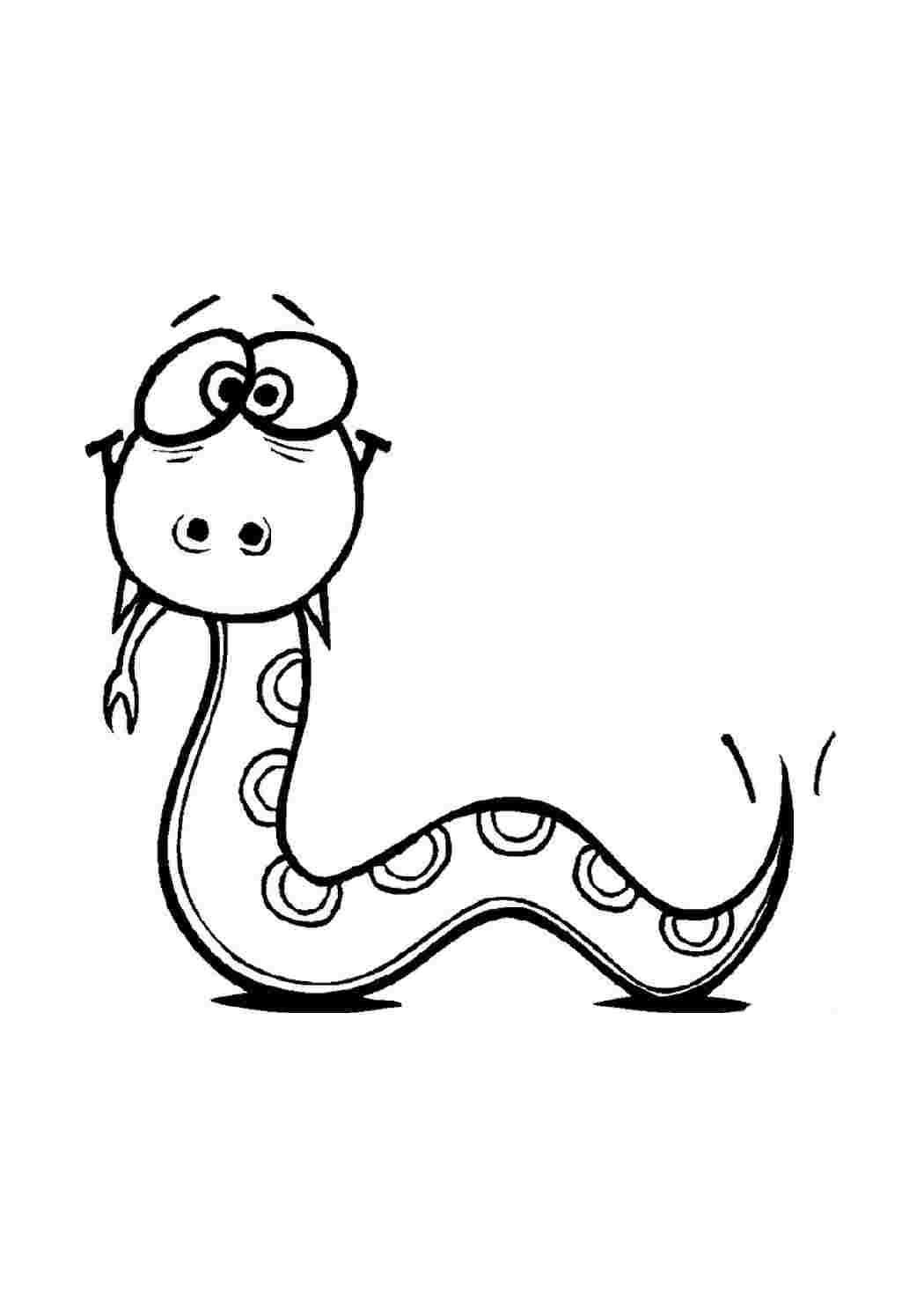 Змея картинка для детей раскраска