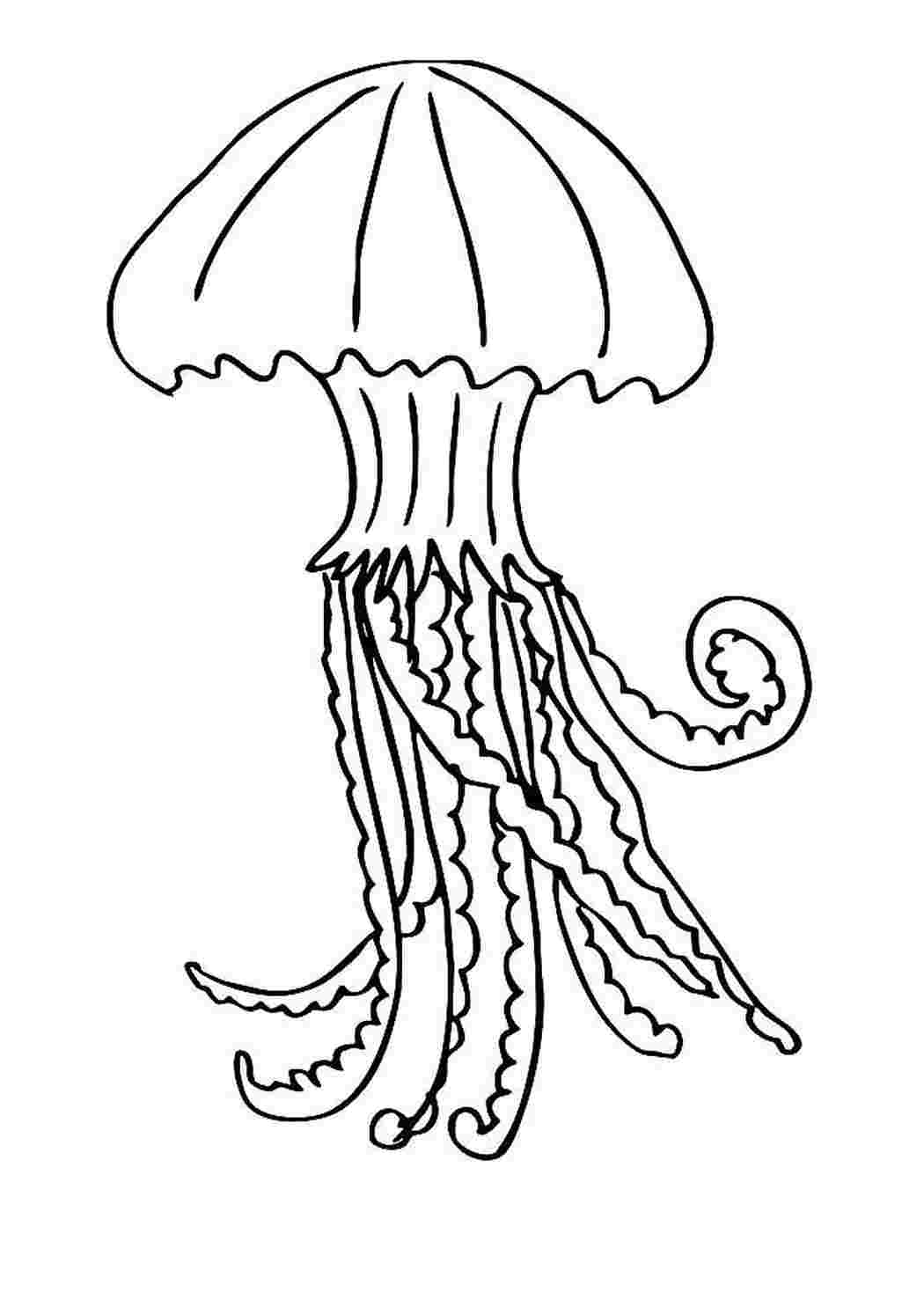 Медуза раскраска для детей