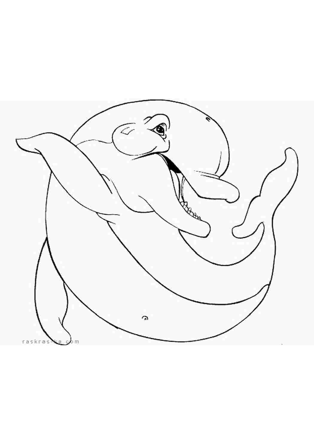 Дельфин Единорог раскраска