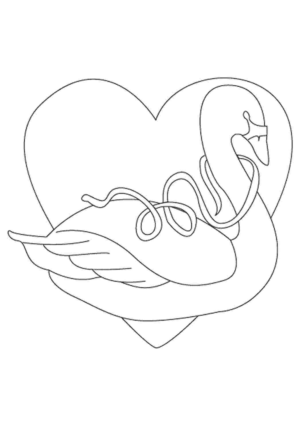 Лебеди с сердцем раскраска