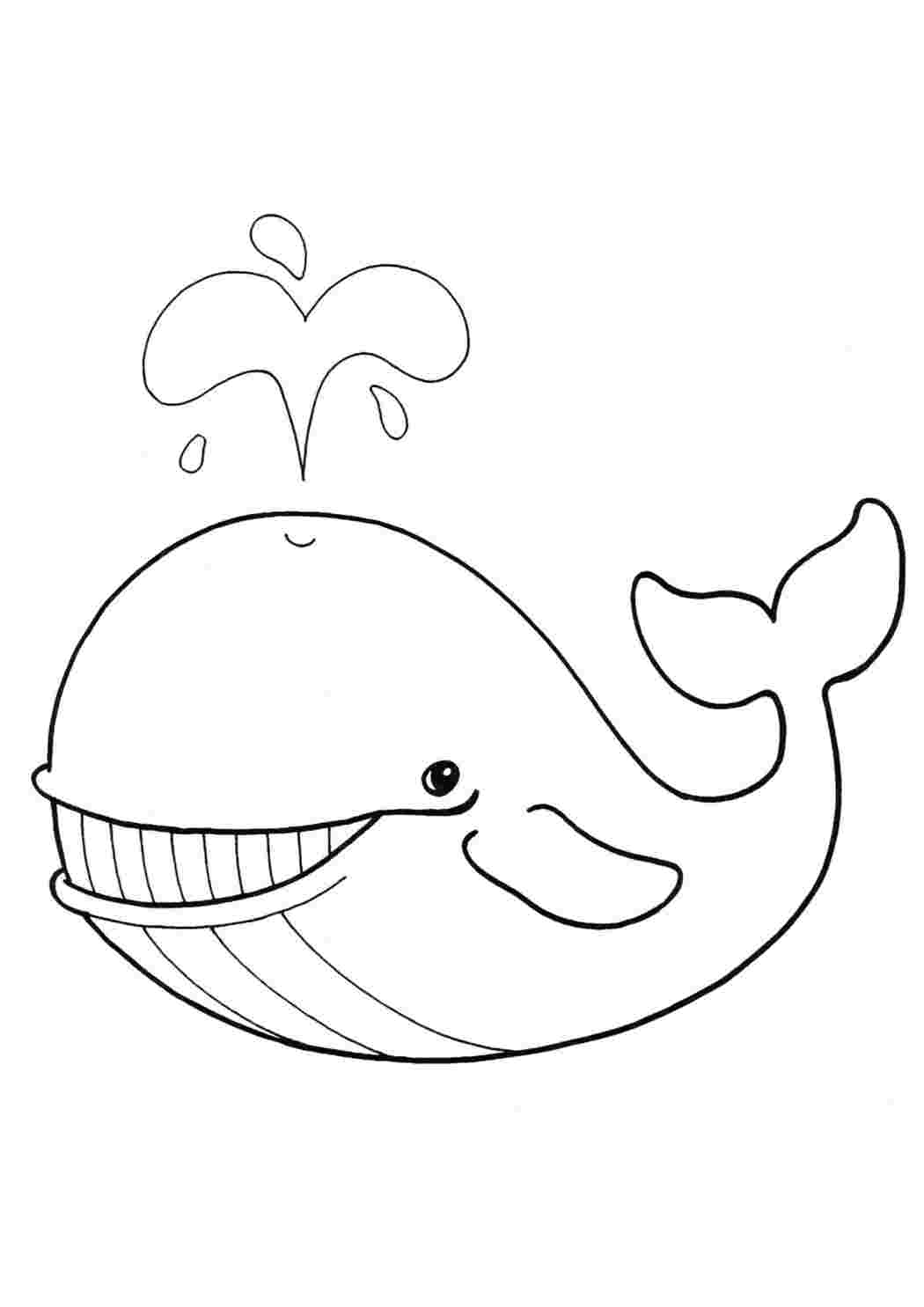 Веселый кит раскраска