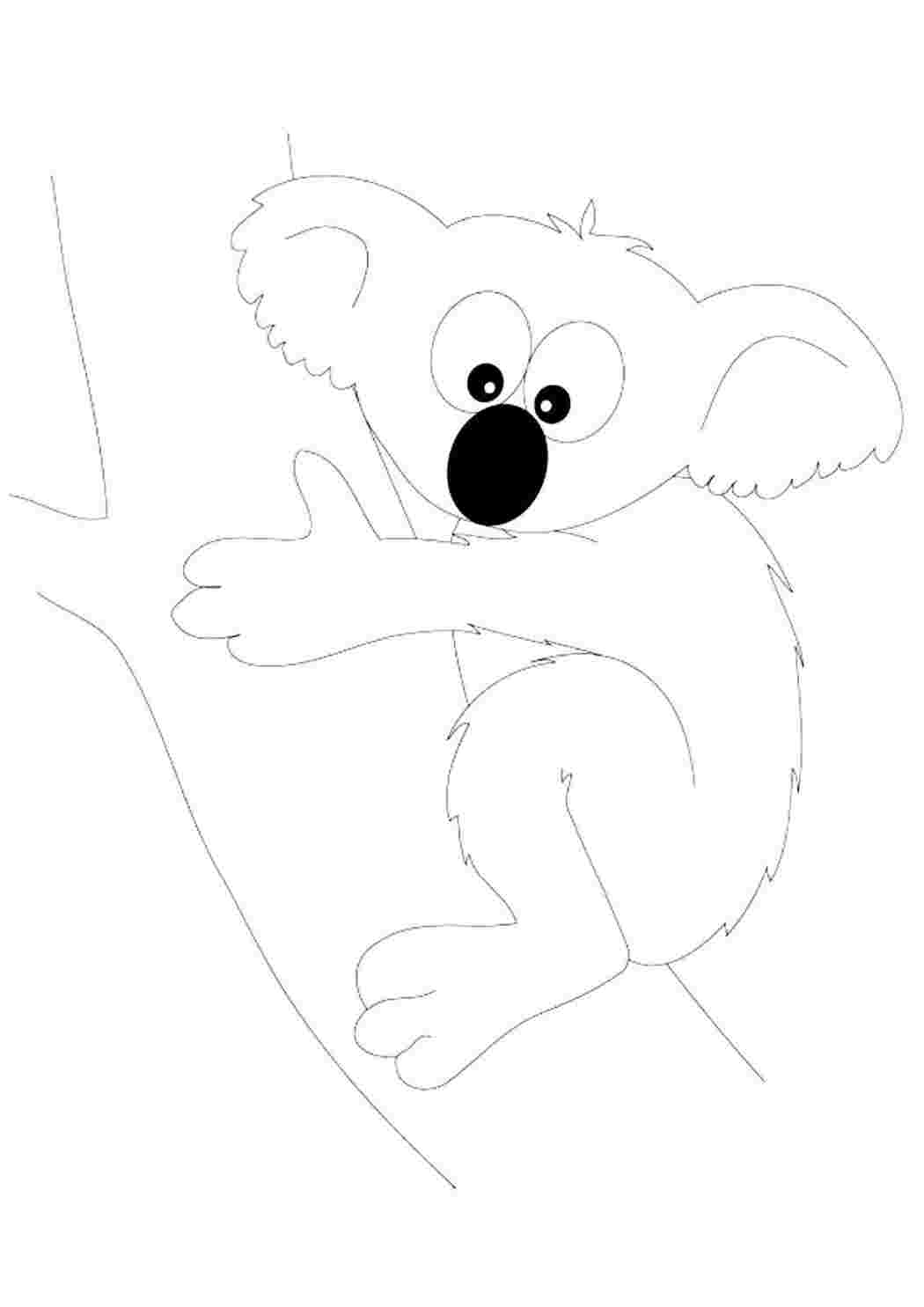 Мишка коала раскраска