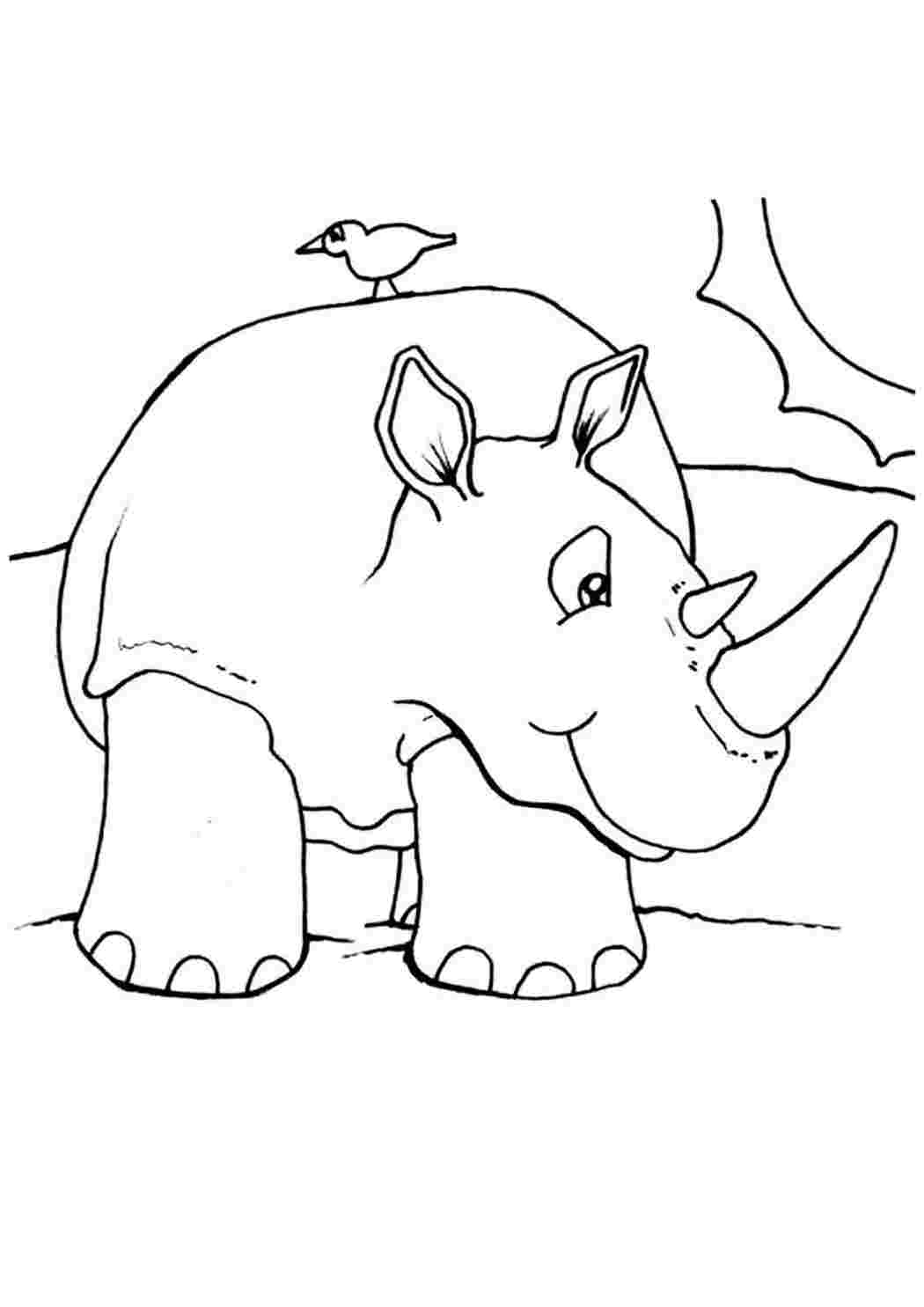 Распечатать раскраску дикие животные. Носорог раскраска. Раскраски животные для детей. Носорог раскраска для малышей. Носорог картинка для детей раскраска.