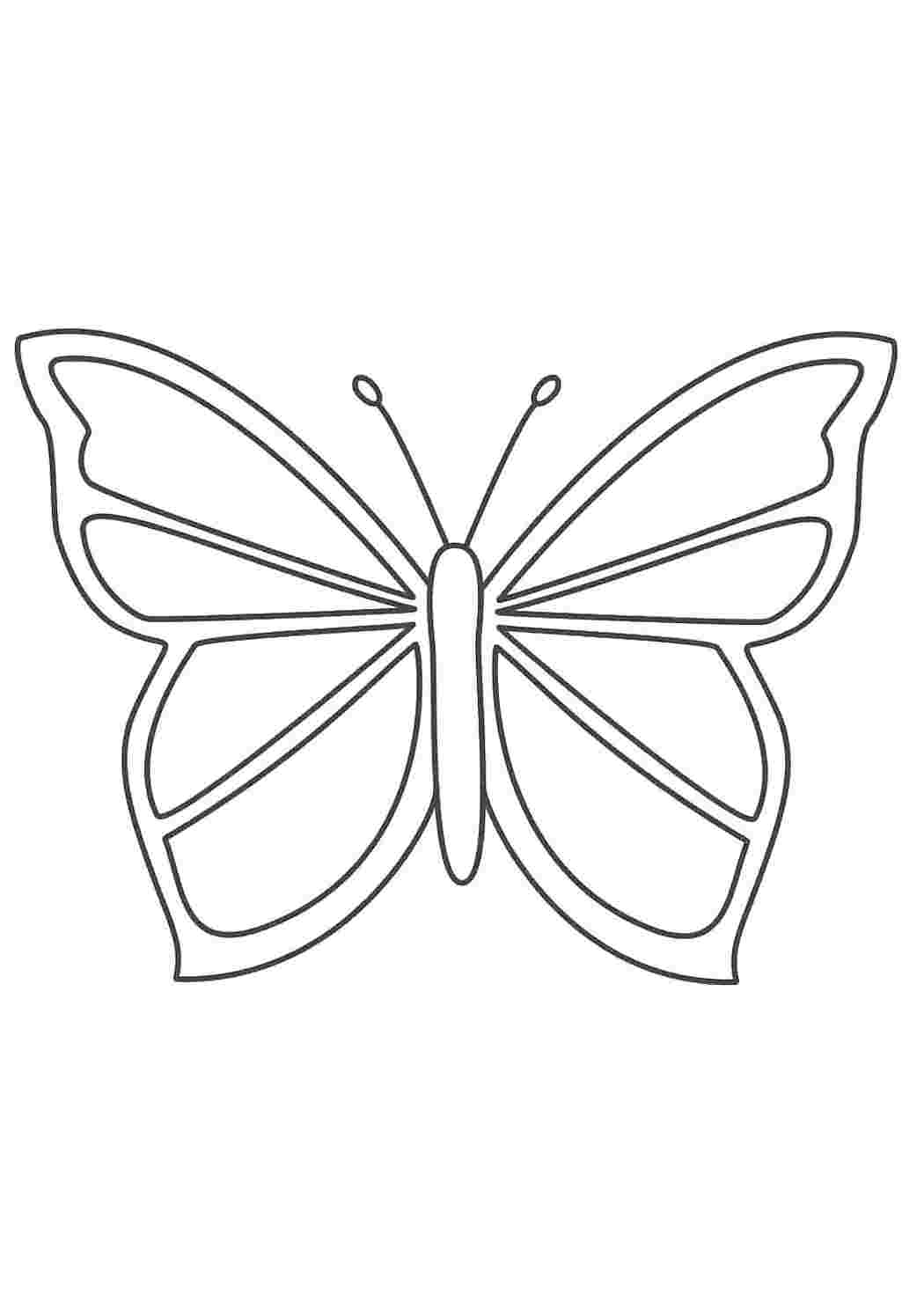 Раскраска бабочка простая