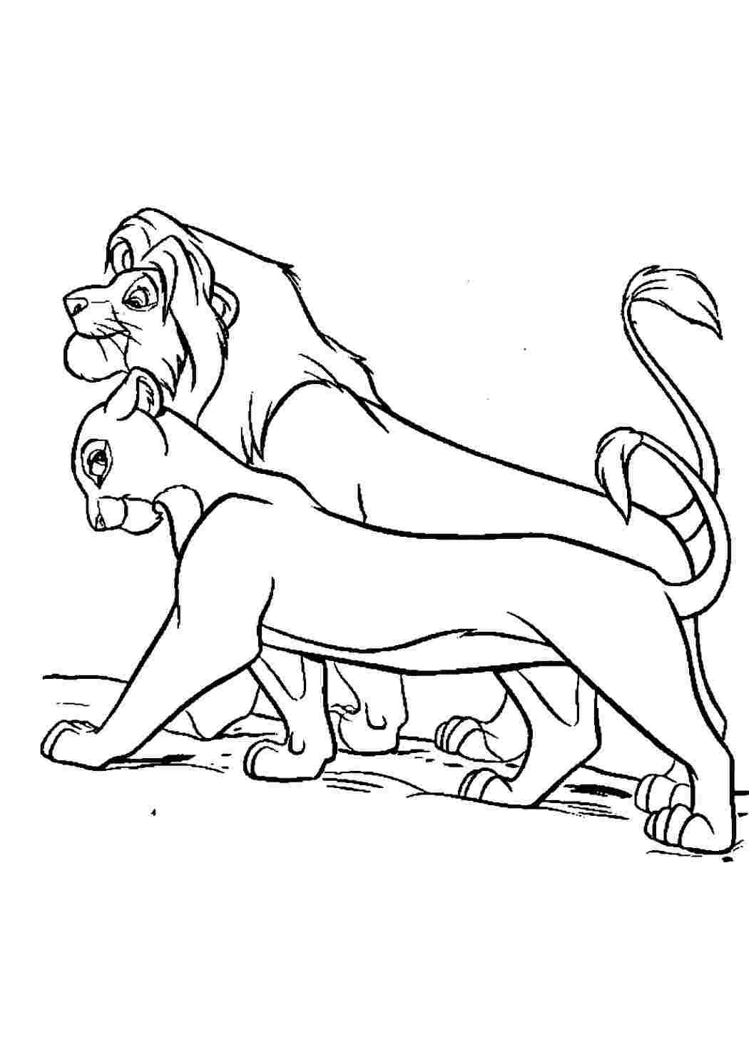 Раскраска Король Лев 2 Муфаса