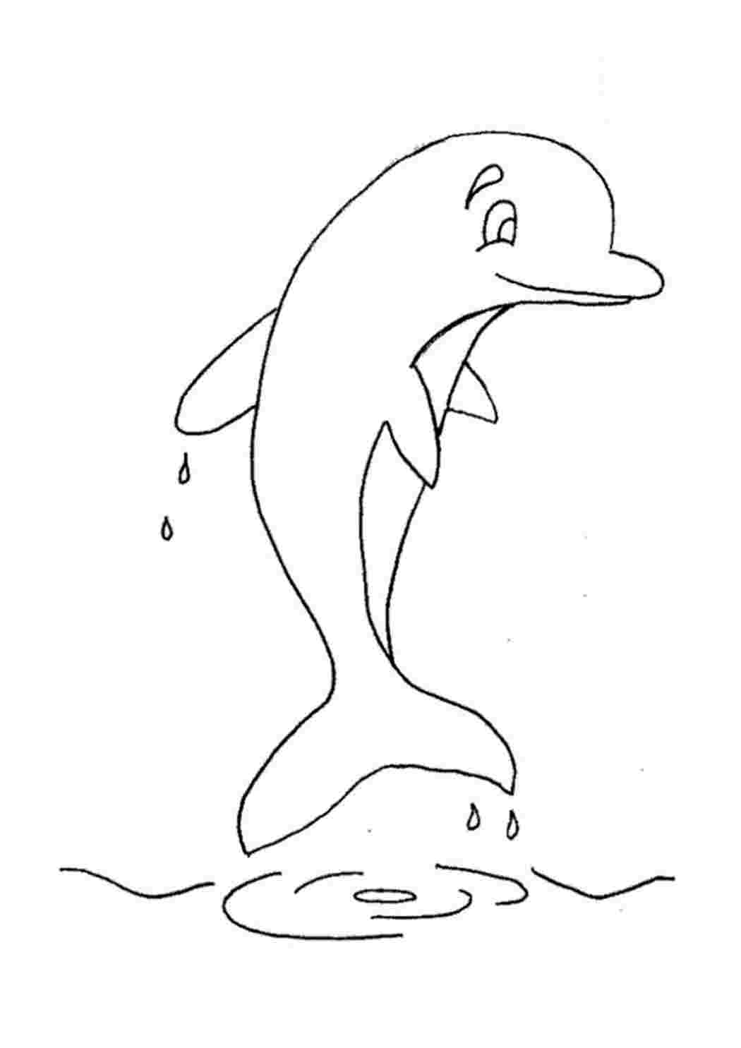 Дельфин контурный рисунок