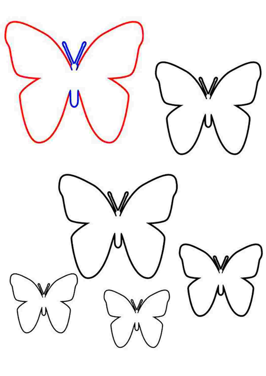 Шаблон бабочек для печати. Трафареты бабочки. Шаблон бабочки. Бабочка шаблон для вырезания. Трафарет бабочки для вырезания.