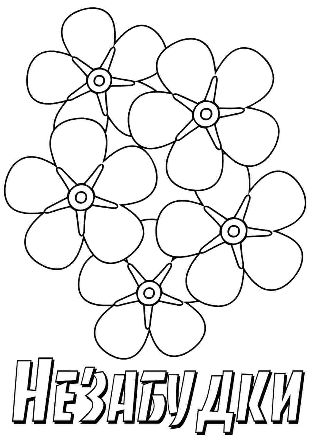 Незабудка раскраска ко дню матери