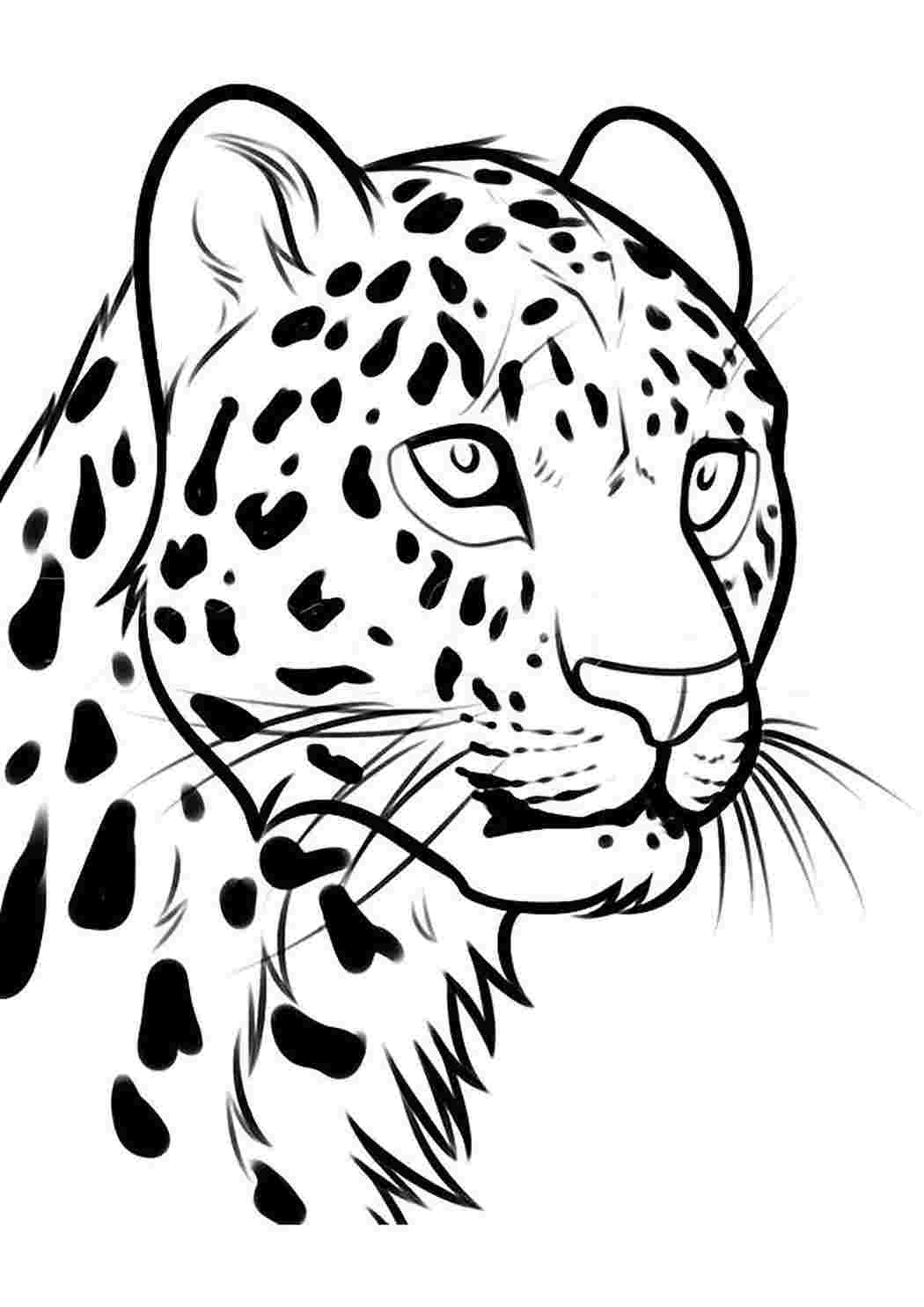 Нарисовать леопарда