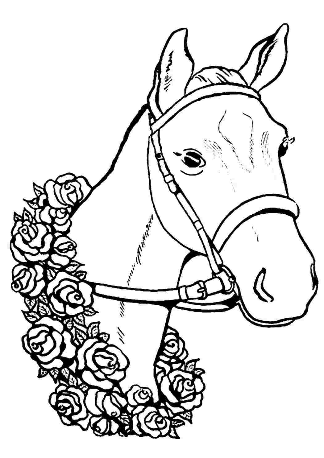 Раскраски для девочек 10 лет животные лошади