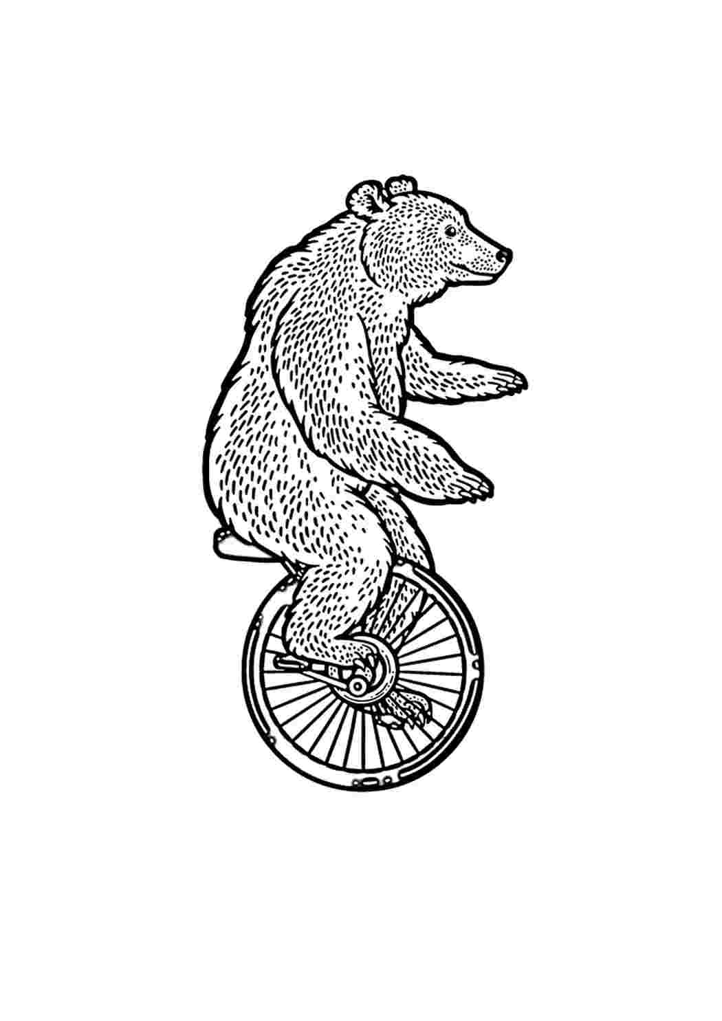 Медведь в цирке на одноколесном. Медведи на велосипеде раскраска. Мишка на велосипеде раскраска. Медведи на велосипеде раскраска для детей. Ехали медведи на велосипеде раскраска