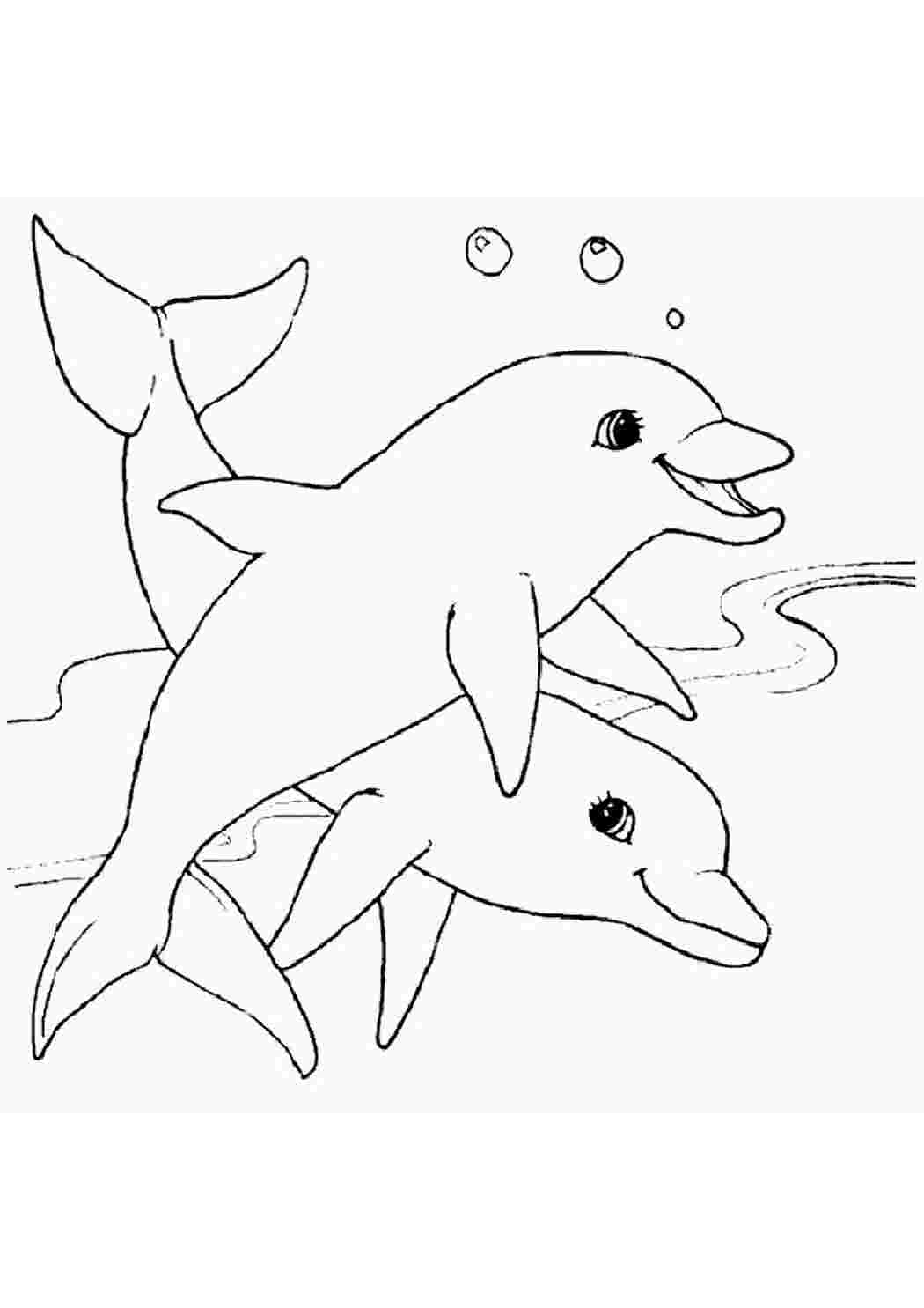 Раскрашивать дельфины. Раскраска Дельфин. Раскраски дел. Раскраска "дельфины". Дельфтнраскраска для детей.