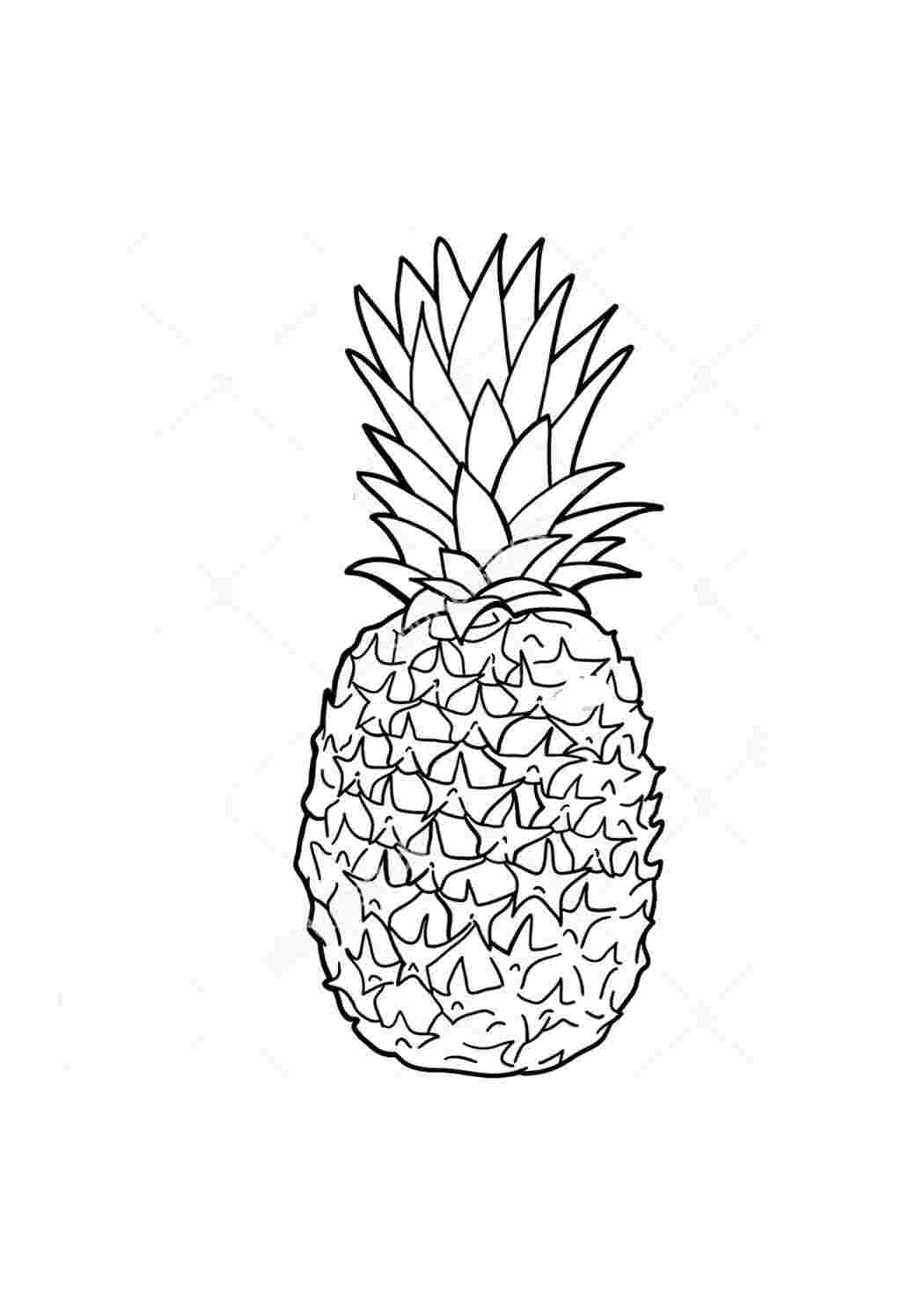 ананас трафарет. раскраска ананас. раскраска ананас. детские раскраски ананас. раскраска ананас.