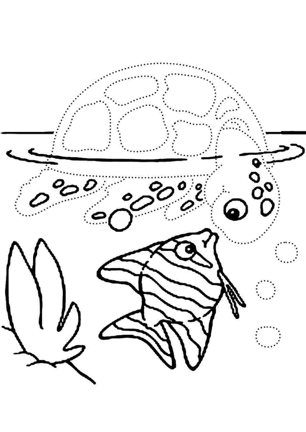 Морские обитатели картинки для детей задания