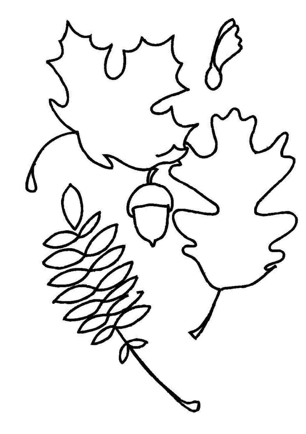 Трафарет осенних листьев для рисования