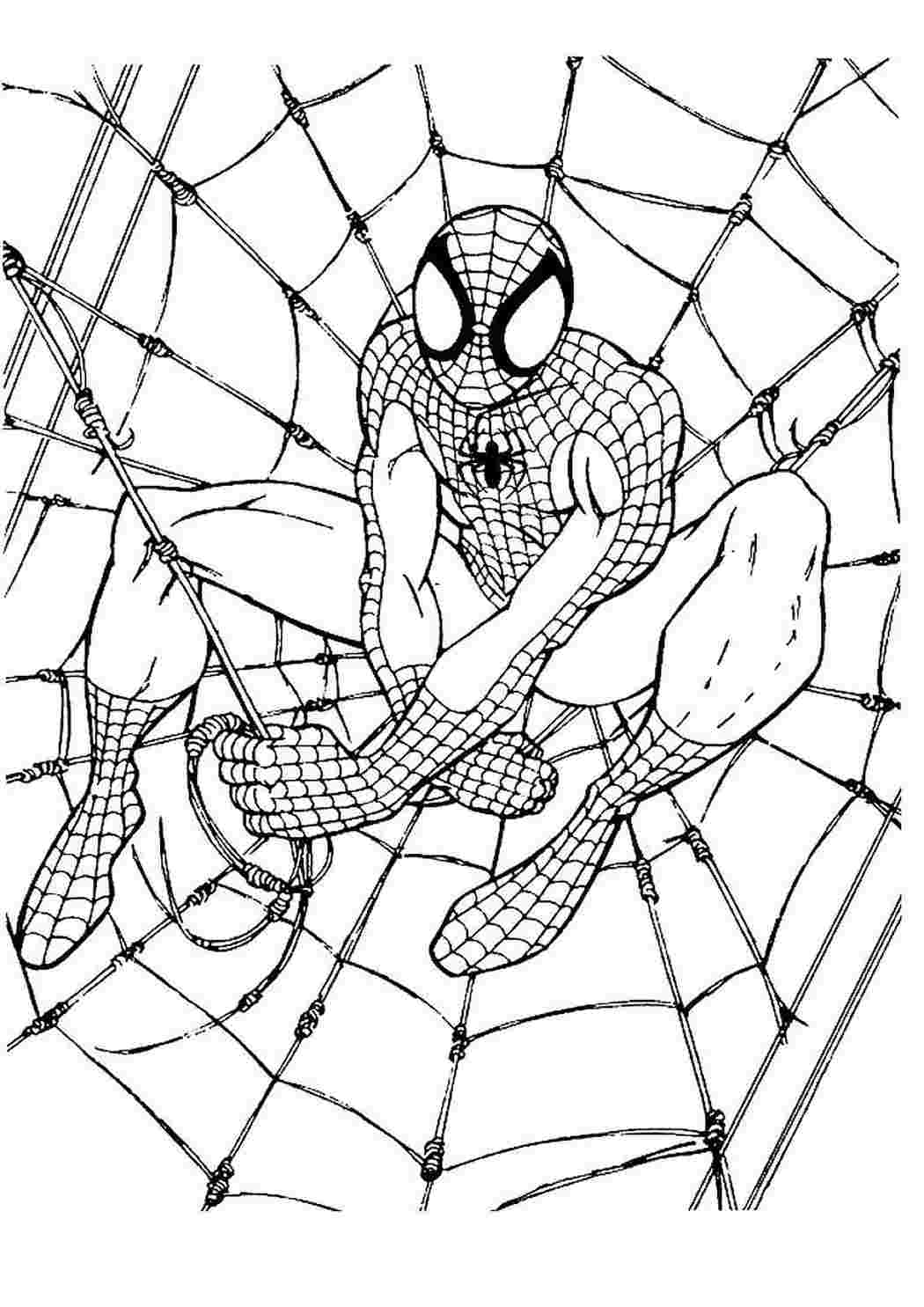 Раскраска Спайдермен на паутине