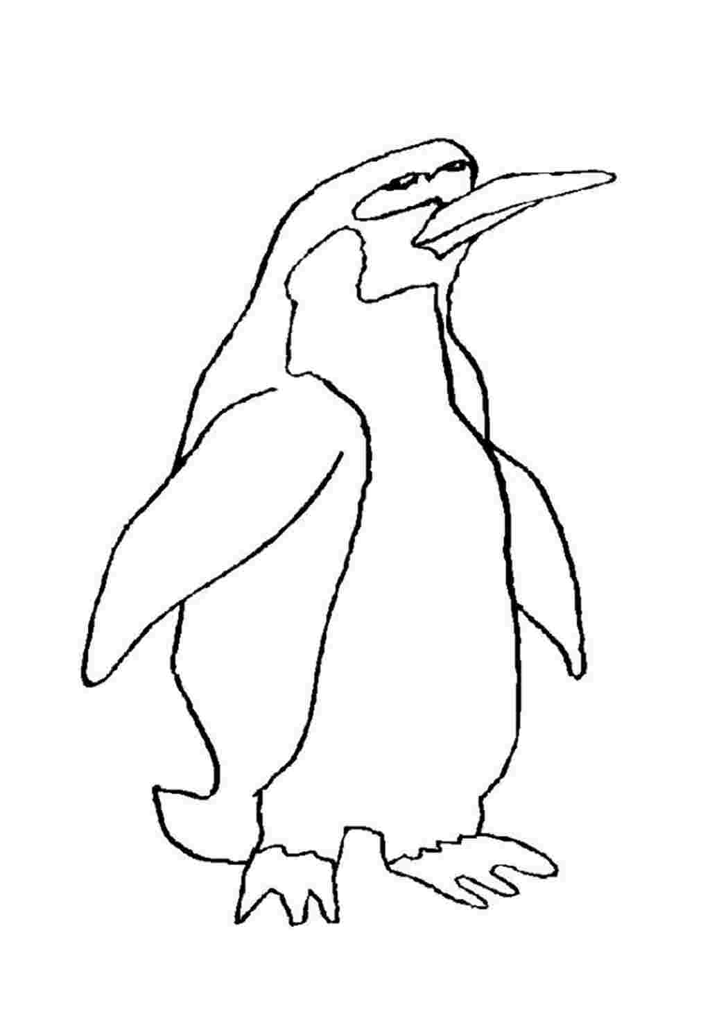 Императорский Пингвин раскраска