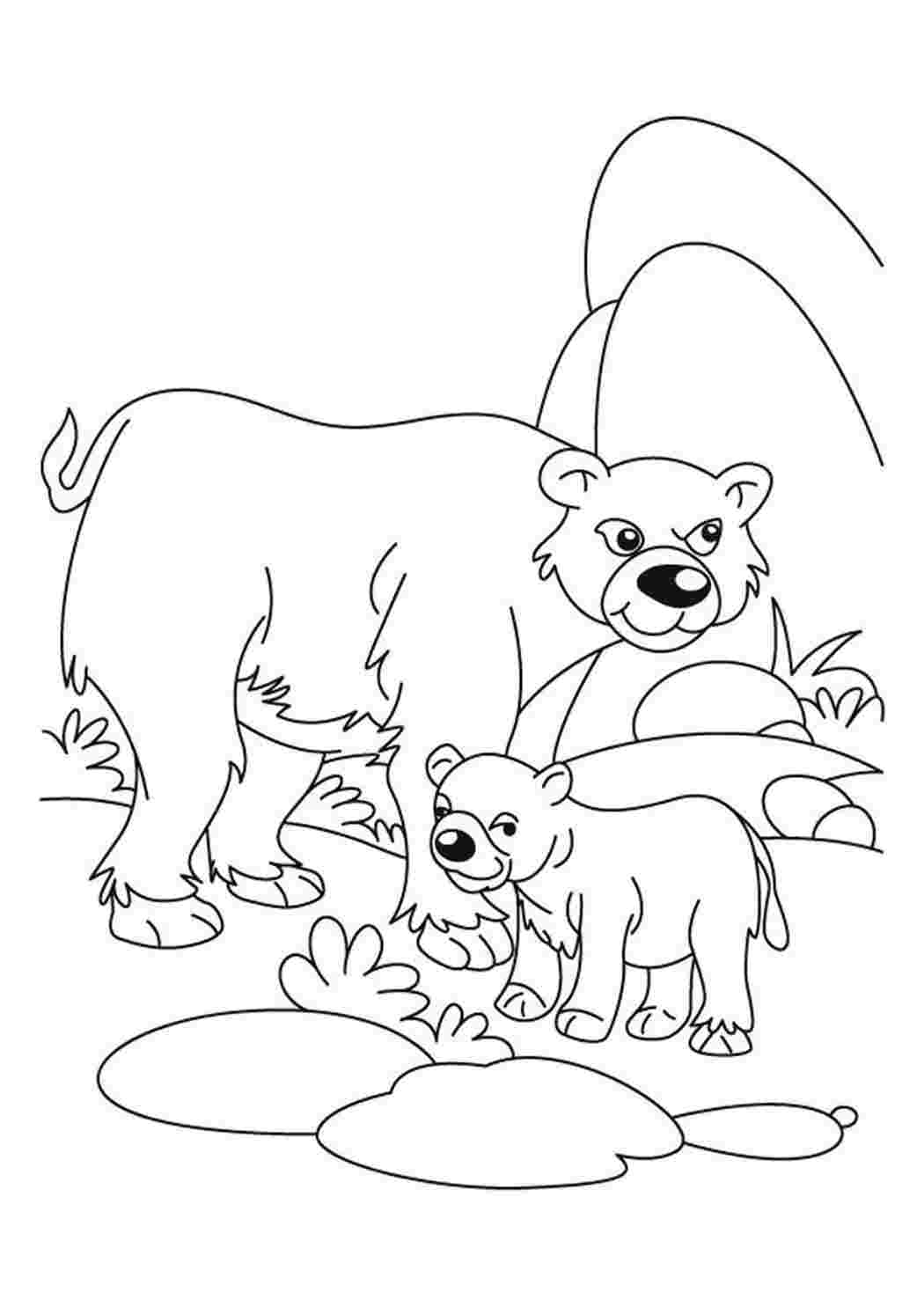 Раскраска Лесные животные медведь