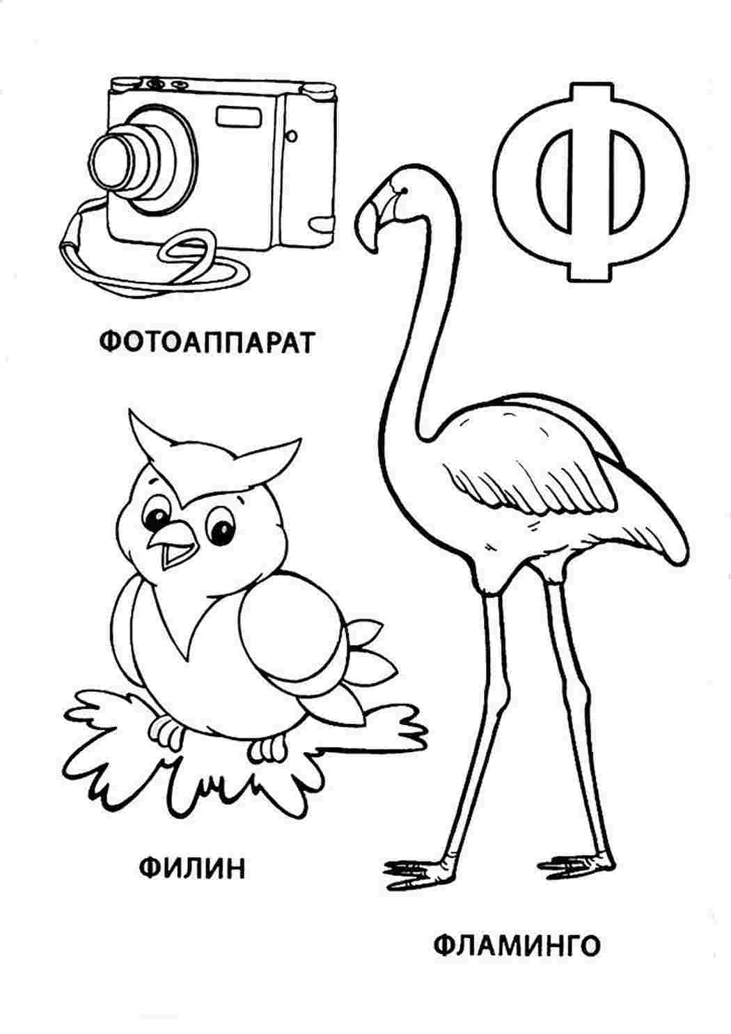 Слова с буквой ф картинки