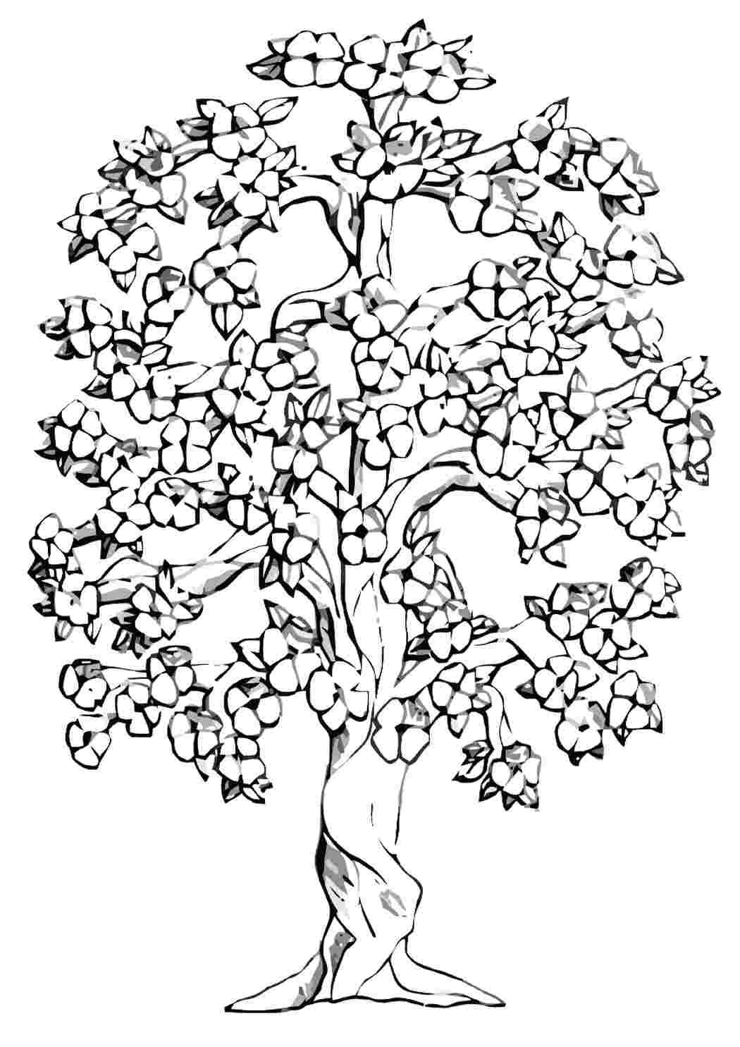 Сказочное дерево раскраска