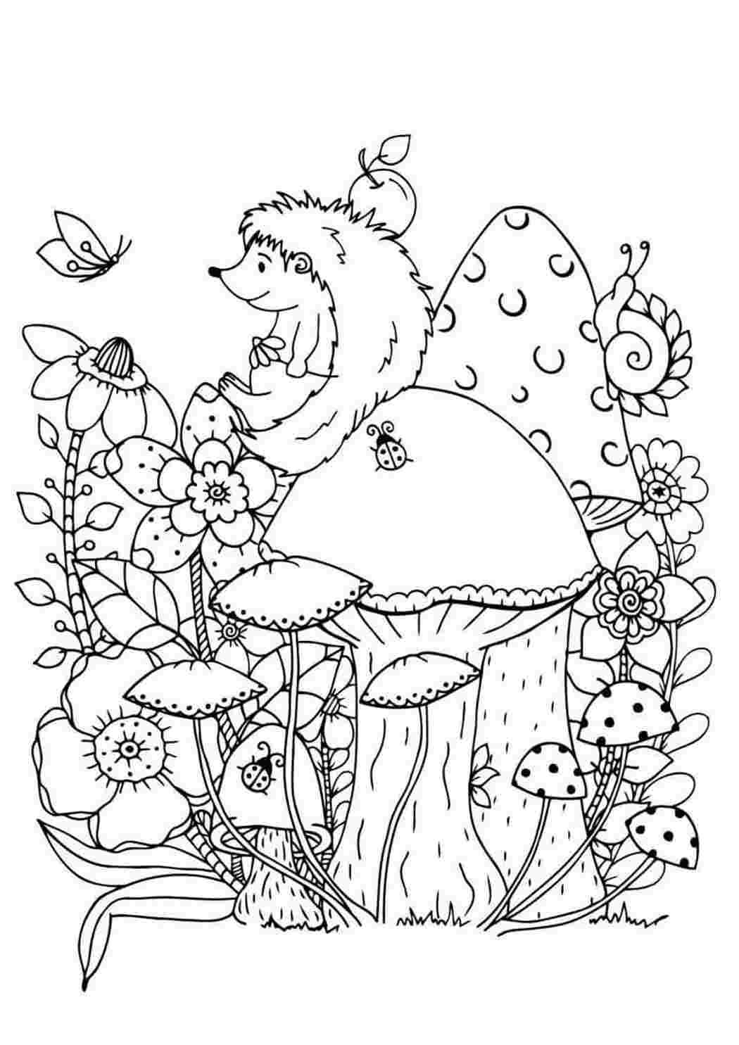 Ежик с грибами раскраска