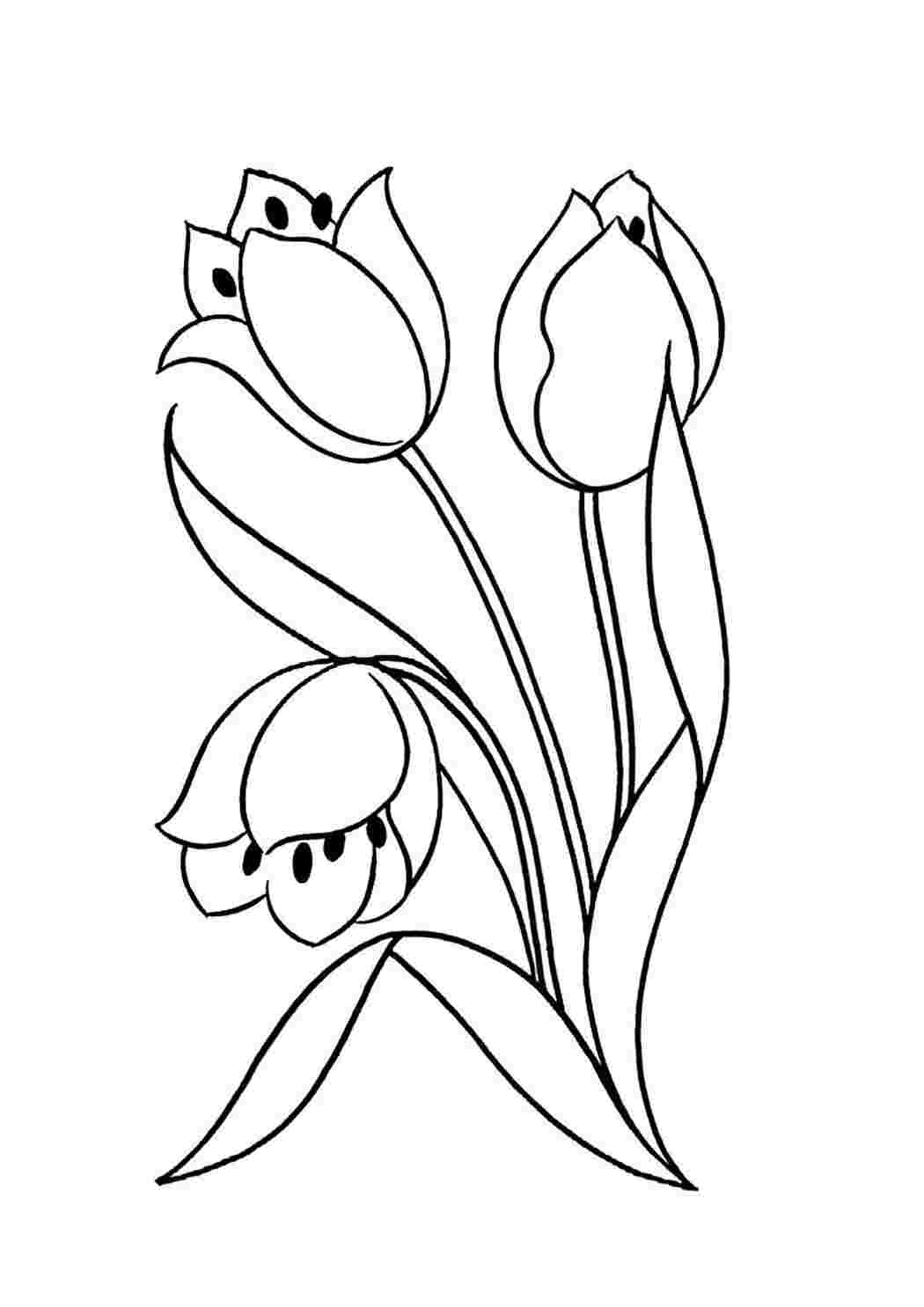 Букет тюльпанов рисунок раскраска