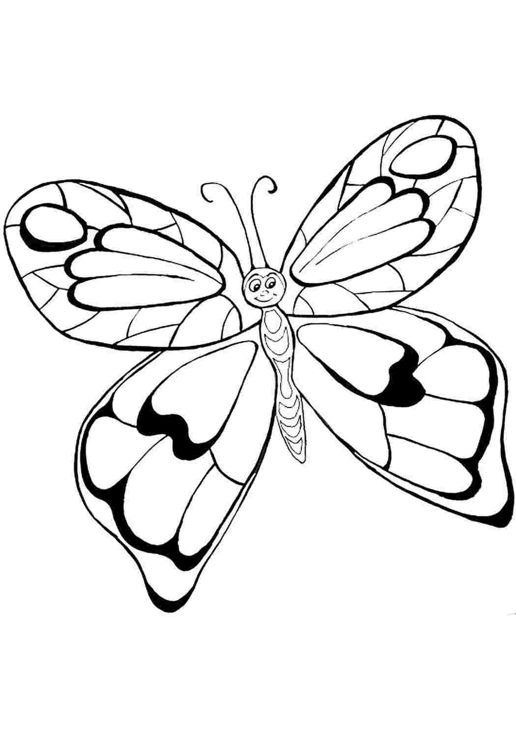 Раскраски для детей 4 5 бабочки. Раскраска "бабочки". Бабочка раскраска для детей. Бабочка раскраска для малышей. Бабочка рисунок.