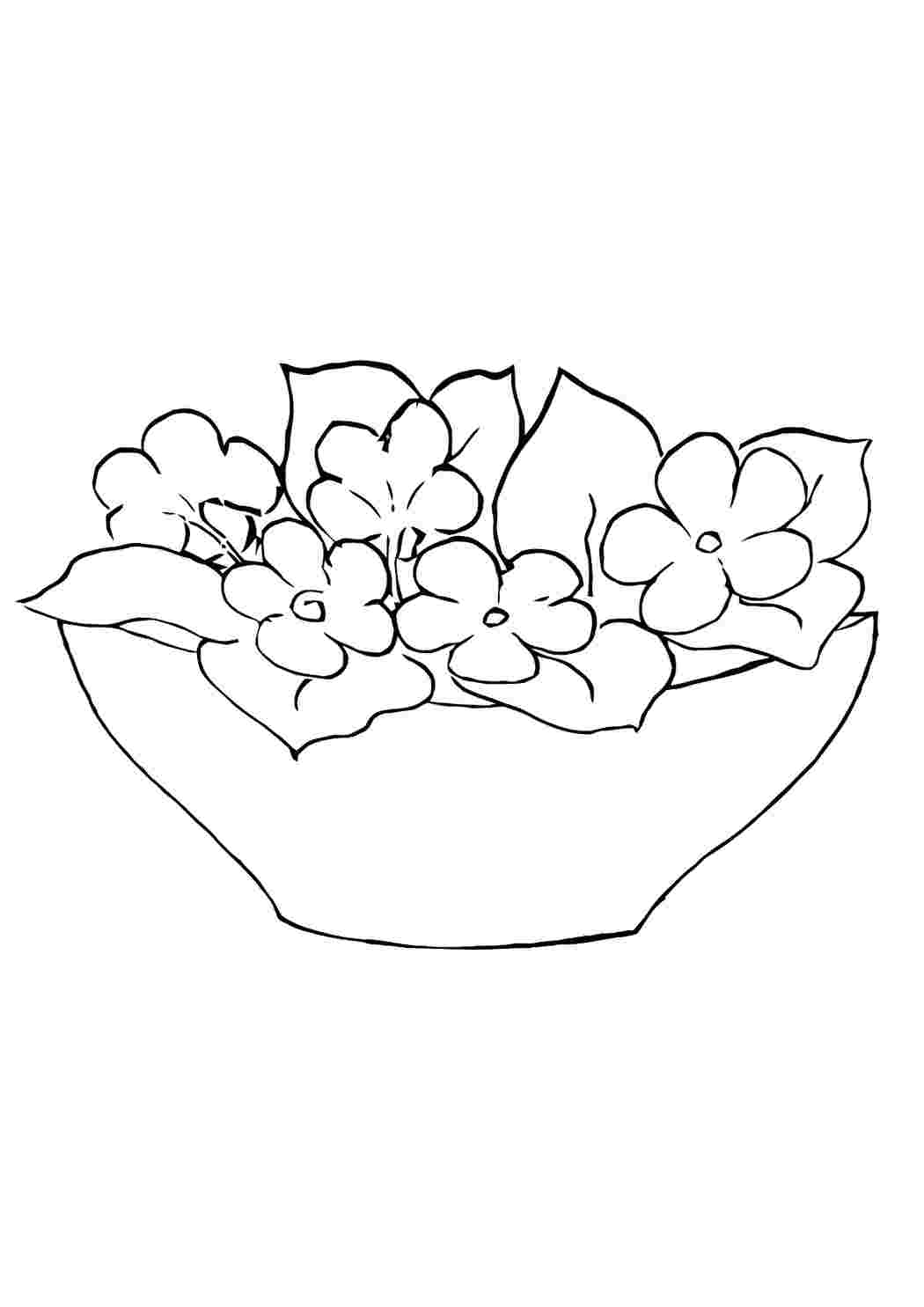 Рисунок клумбы