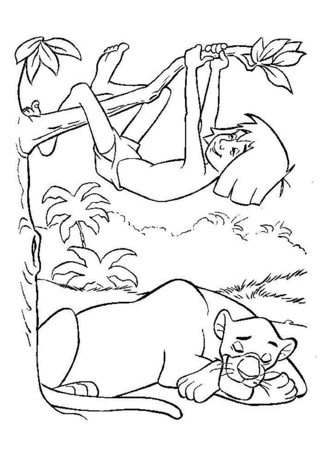 Рисунок маугли 3 класс. Киплинг Маугли раскраска. Маугли книга джунглей раскраска. Маугли рисунок. Раскраска джунгли.