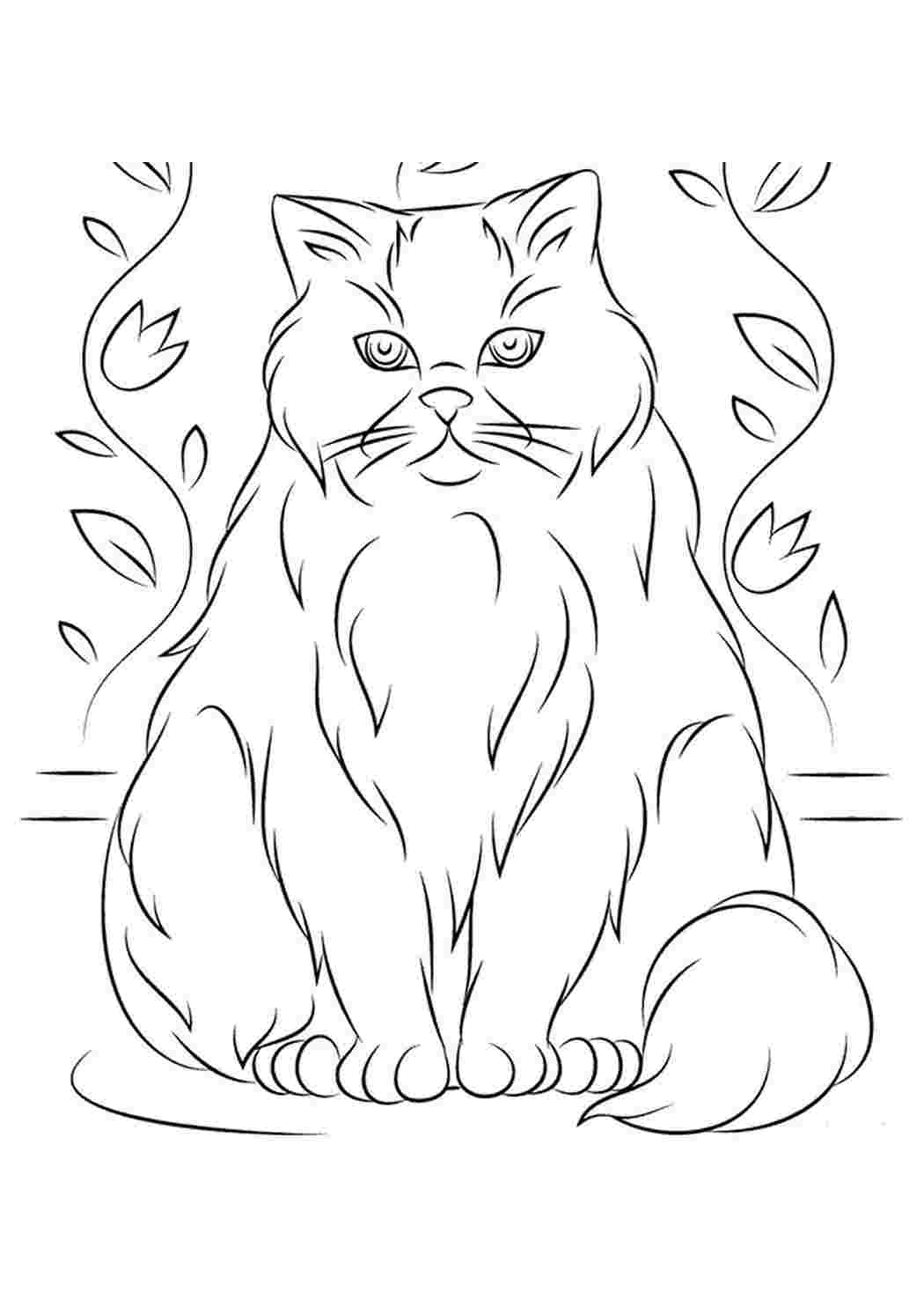 Рисунок персидского кота карандашом