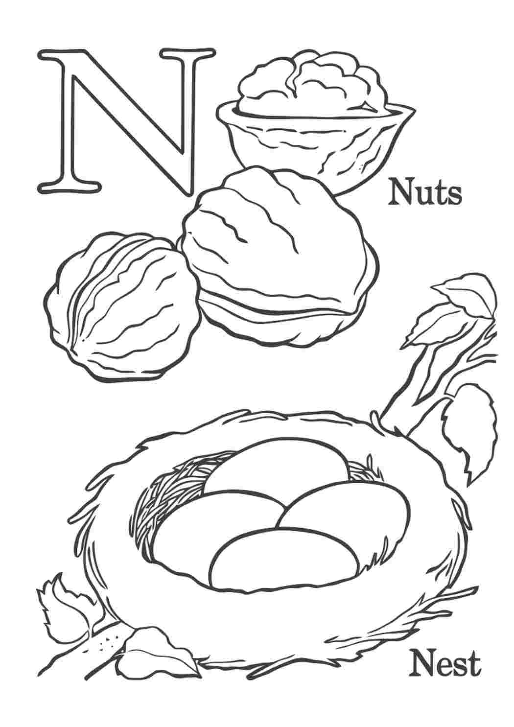 N алфавит. Буква n для раскрашивания. Английская буква n. Буква n в английском языке раскраска. Раскраски для детей с английским алфавитом n.